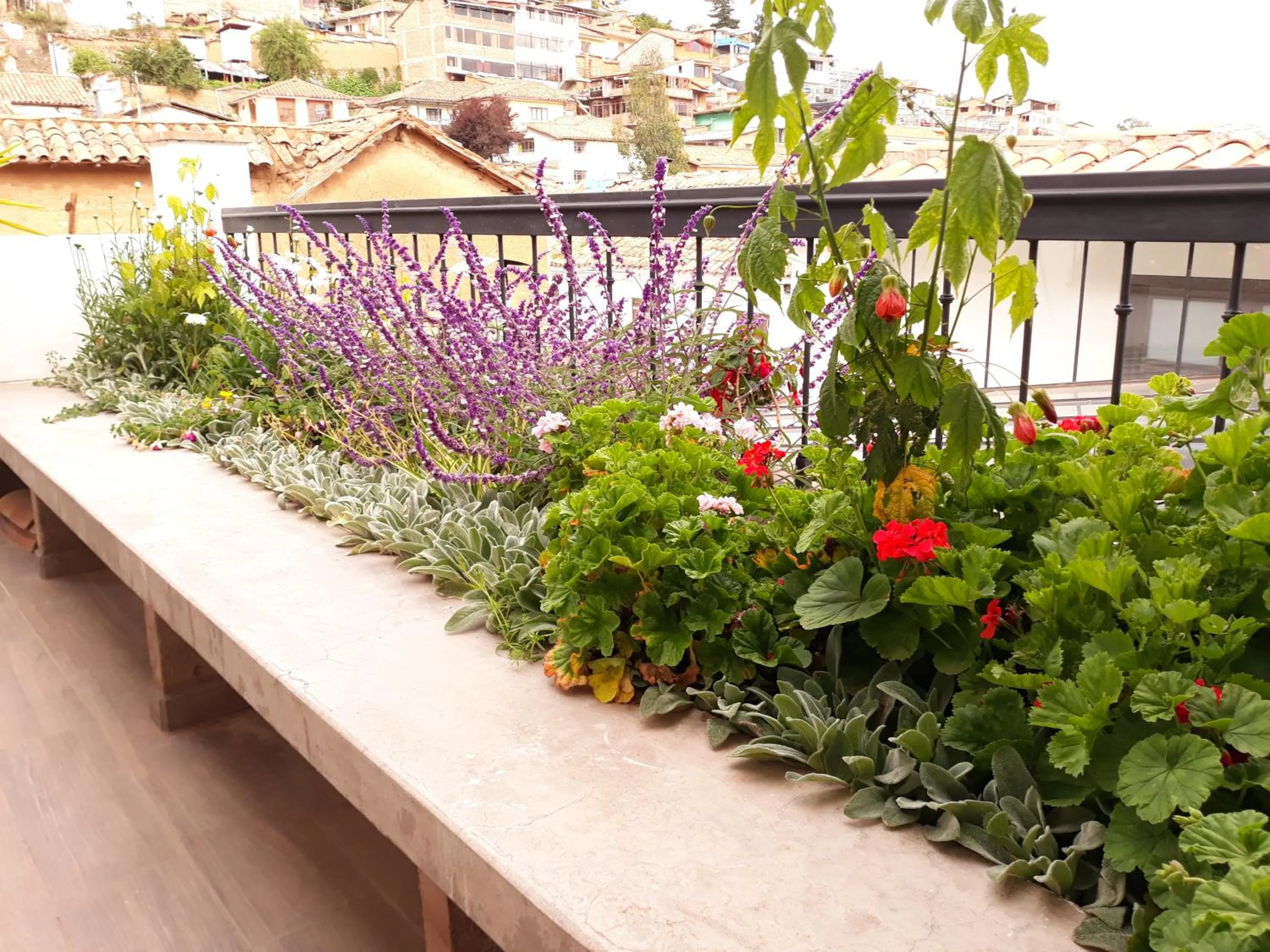 Balcony/Terrace in Posada San Blas