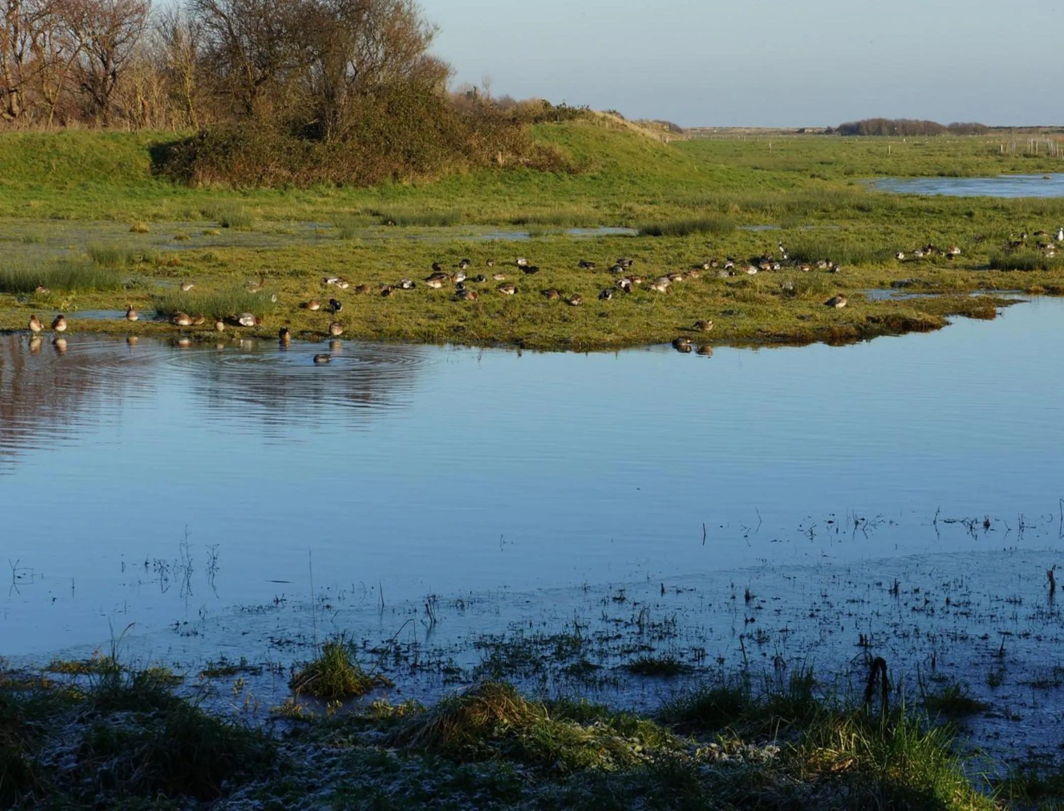 Natural landscape in B&B Les Oiseaux de Passage
