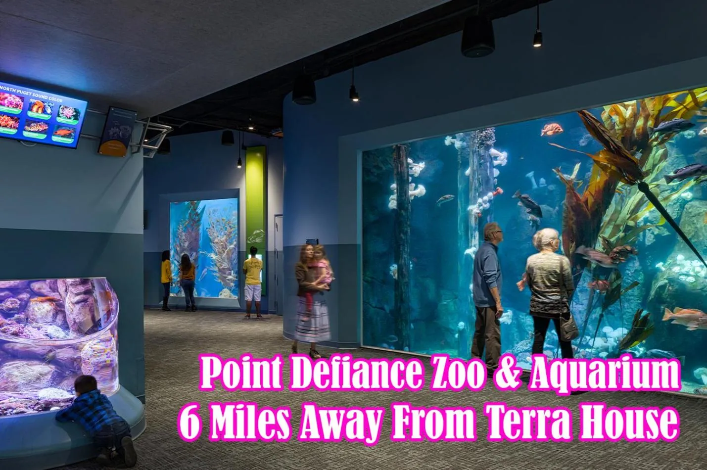 Terra House Tacoma - EV Power Station, Crib, Stroller, High Chair