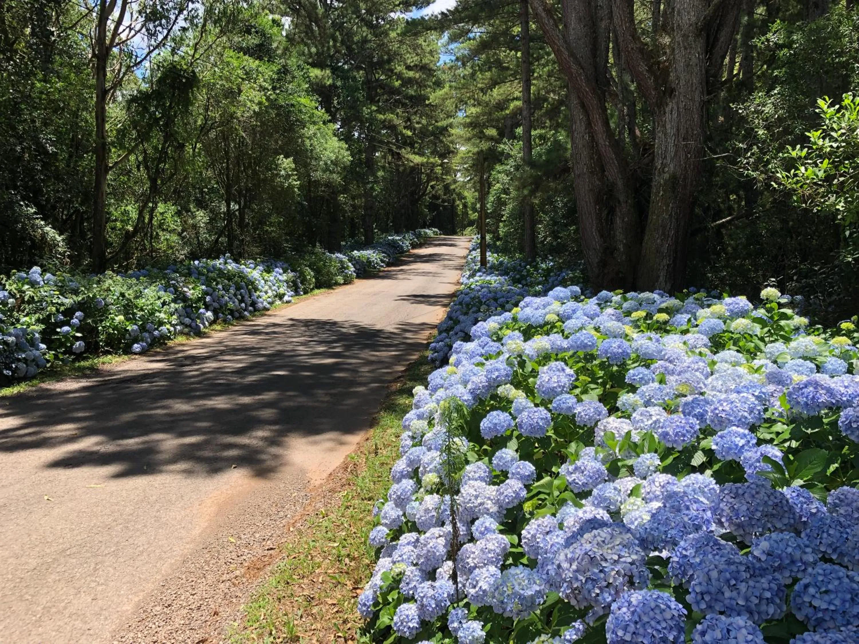 Samuara Hotel Caxias do Sul