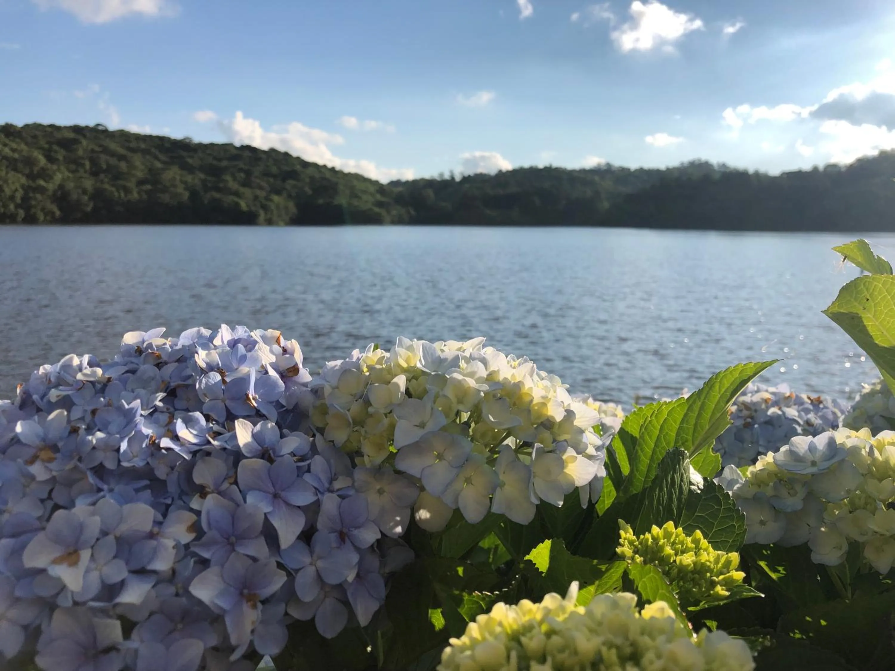 Samuara Hotel Caxias do Sul