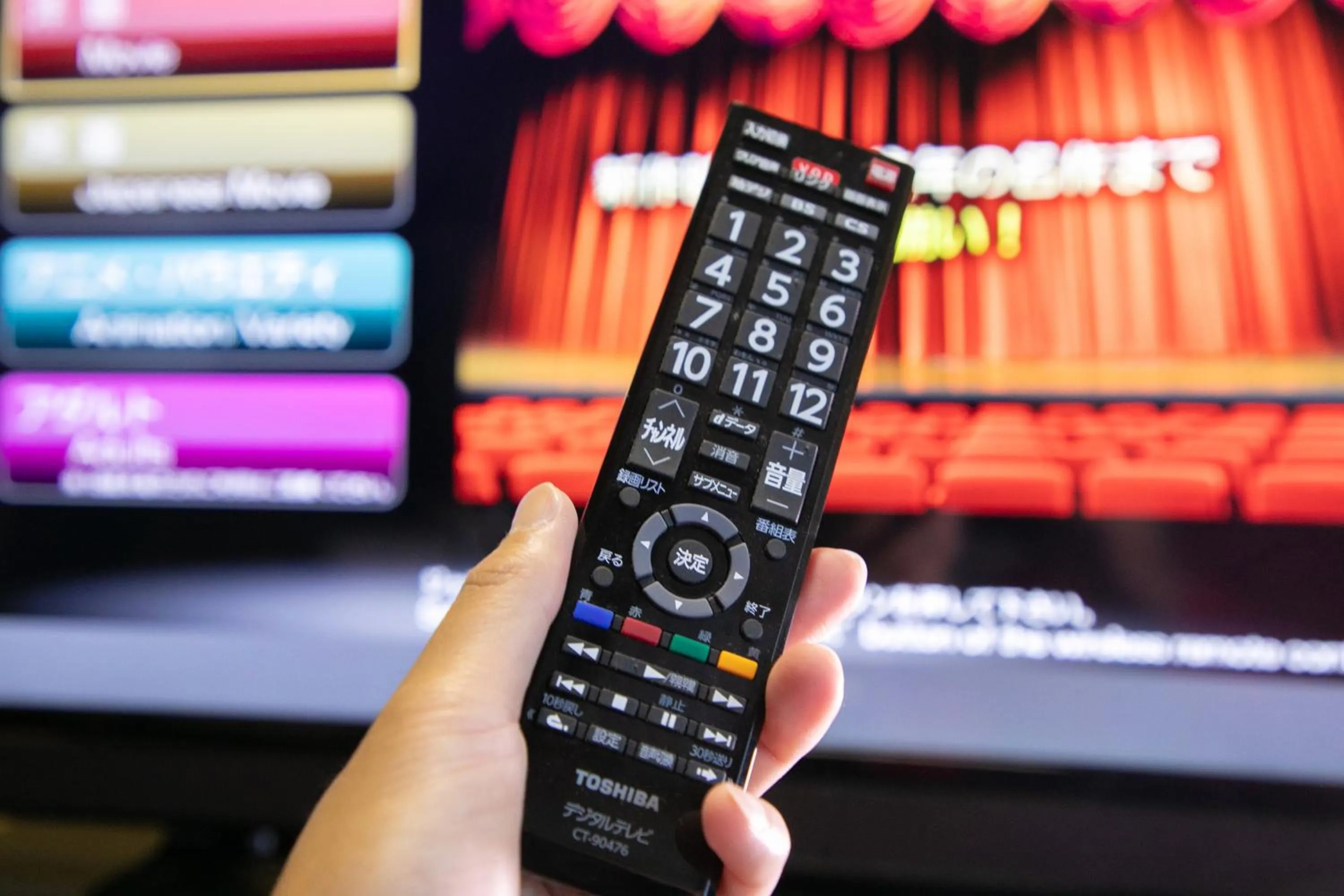 TV and multimedia in Ninohe City Hotel