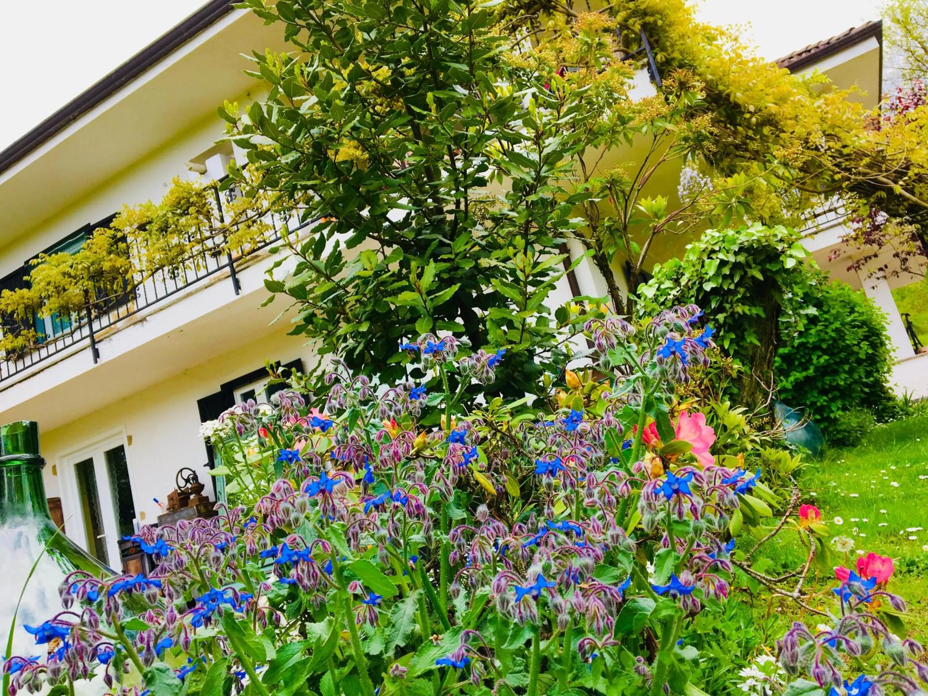 Garden in B&B La libellula