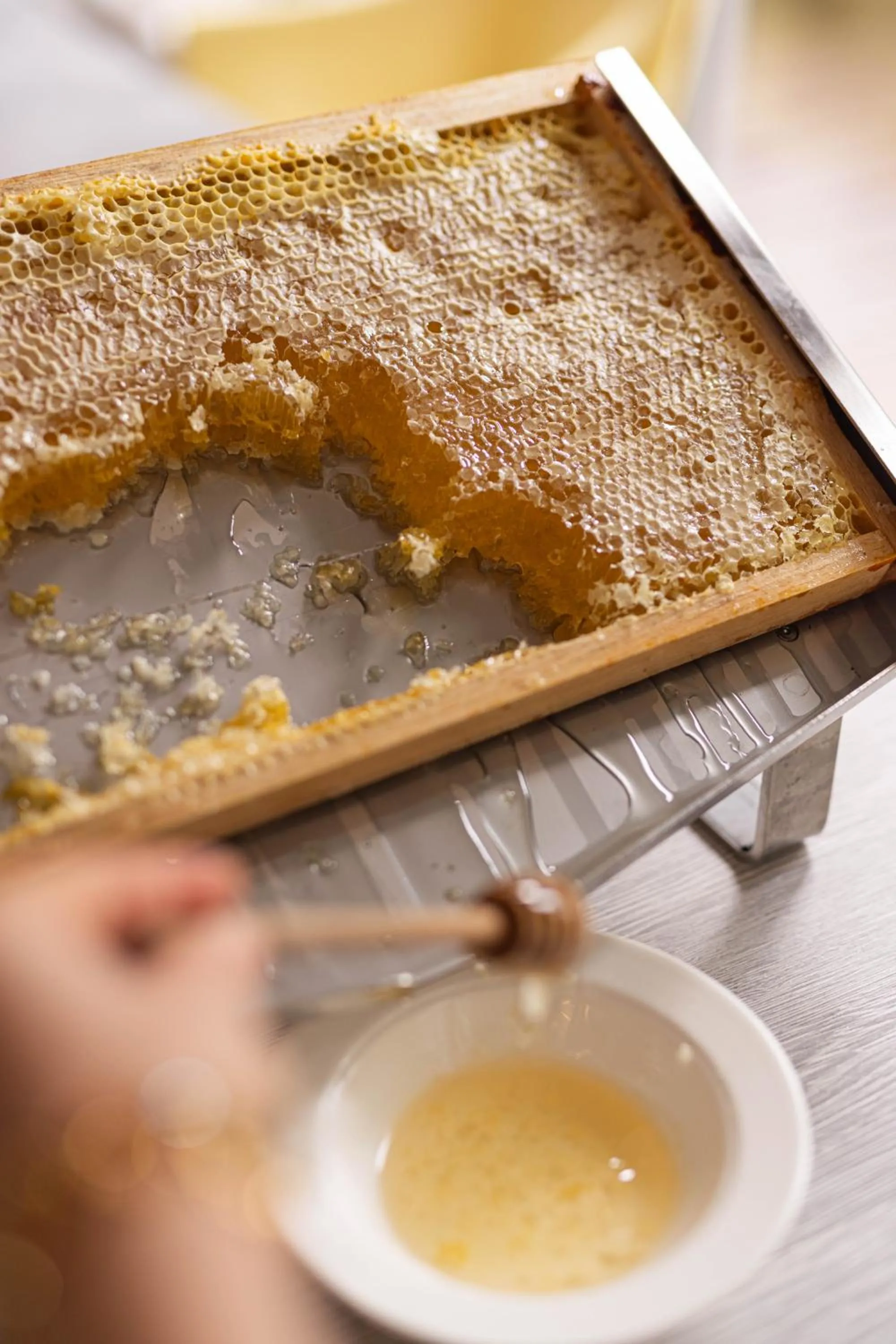 Breakfast in Cézanne Hôtel