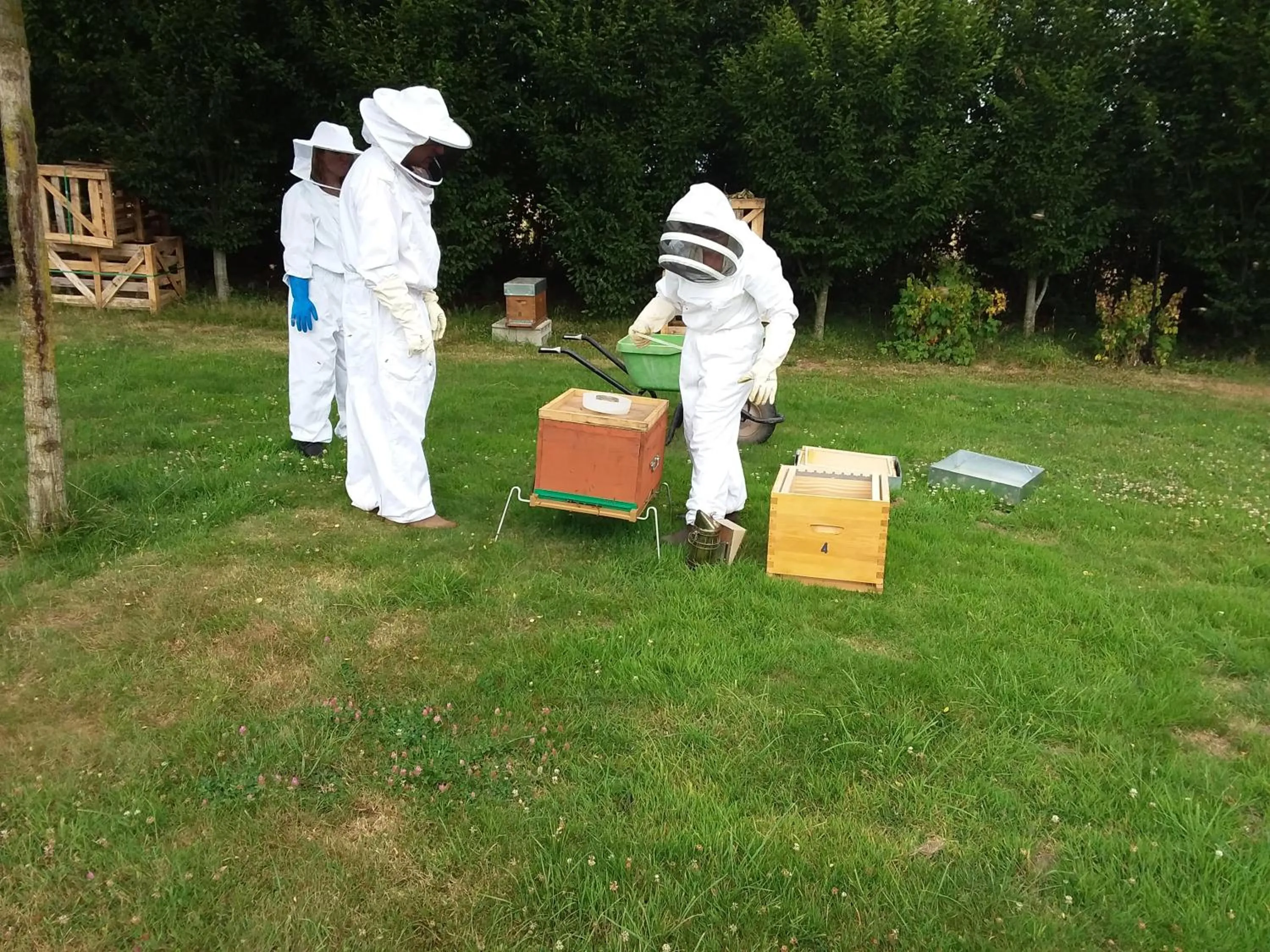 Activities in LA CHARMERAIE