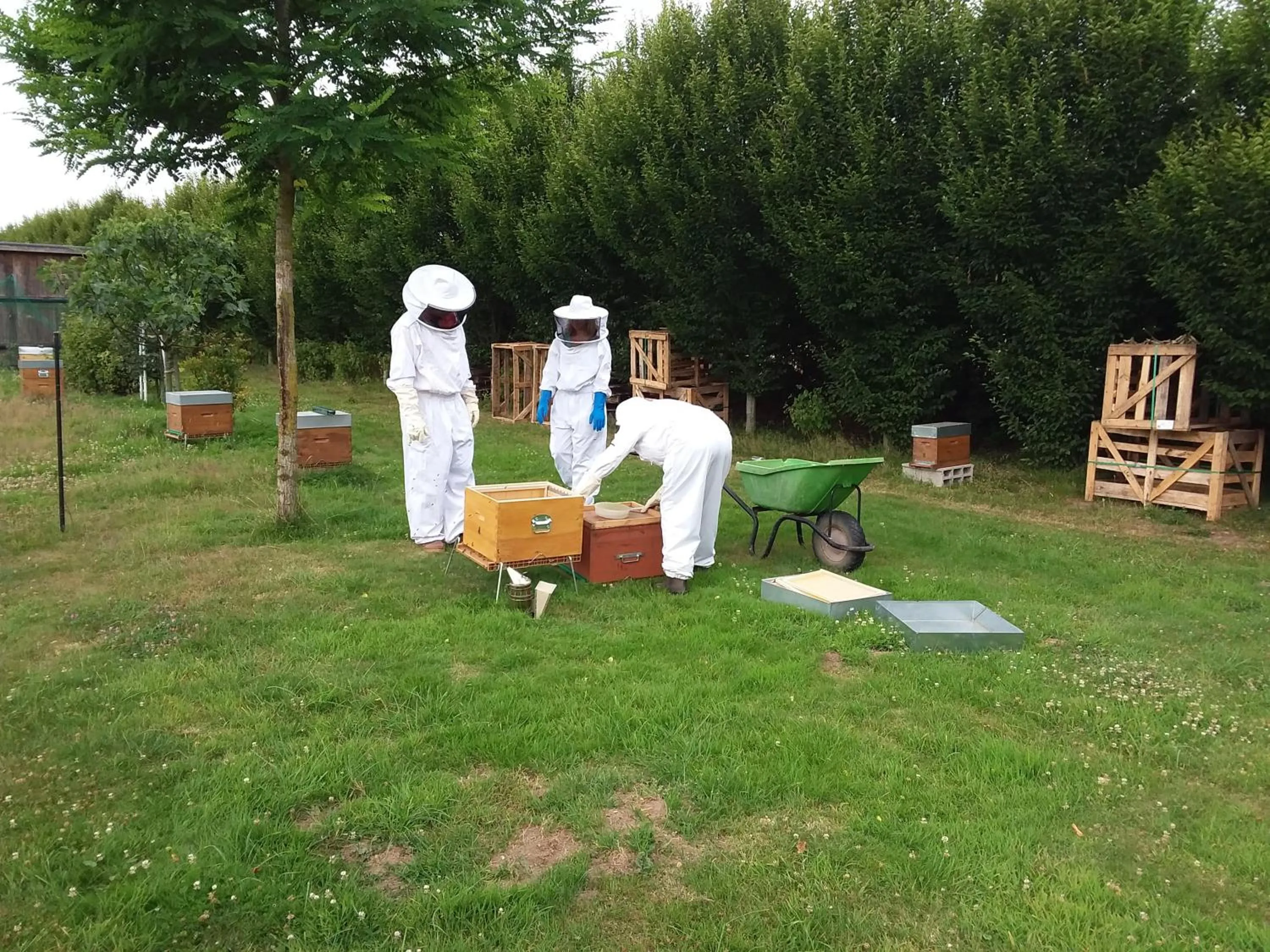 Activities in LA CHARMERAIE