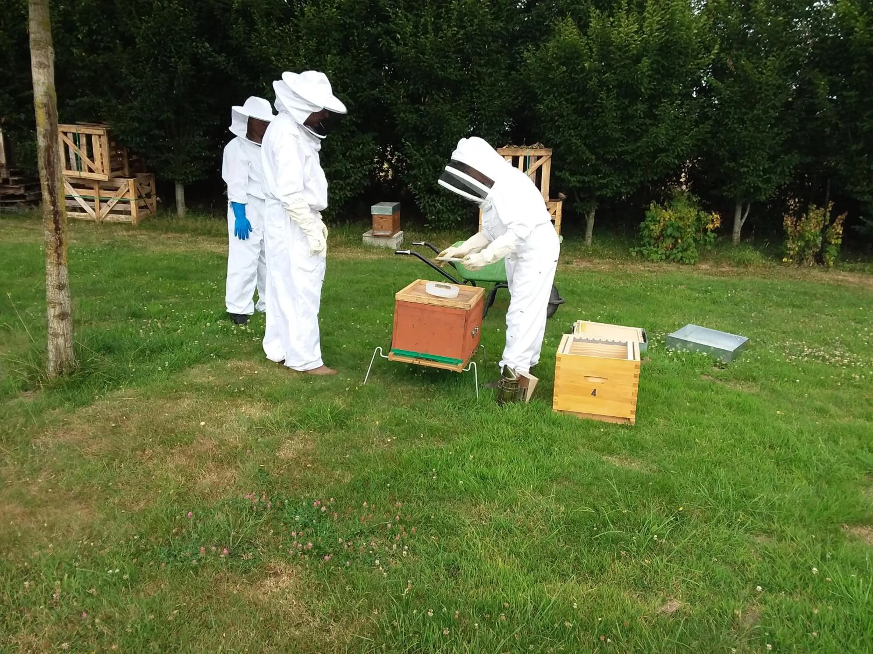 Activities in LA CHARMERAIE