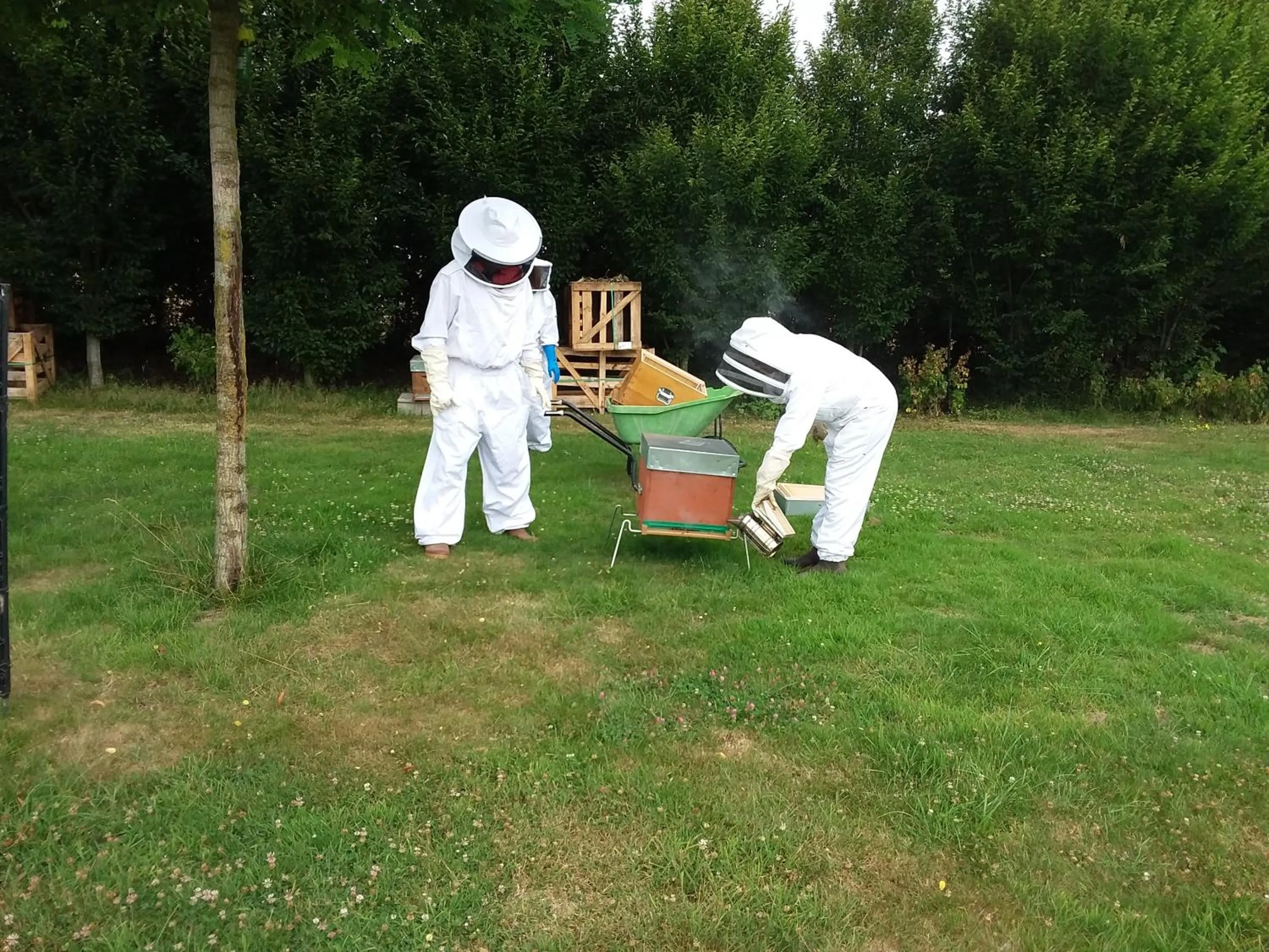 Activities in LA CHARMERAIE