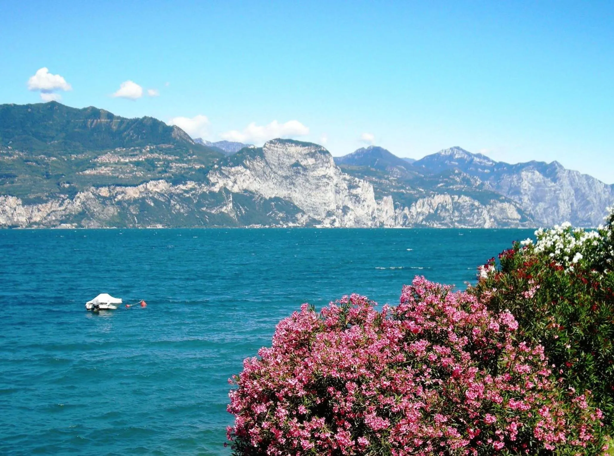 Natural landscape in Hotel Nike