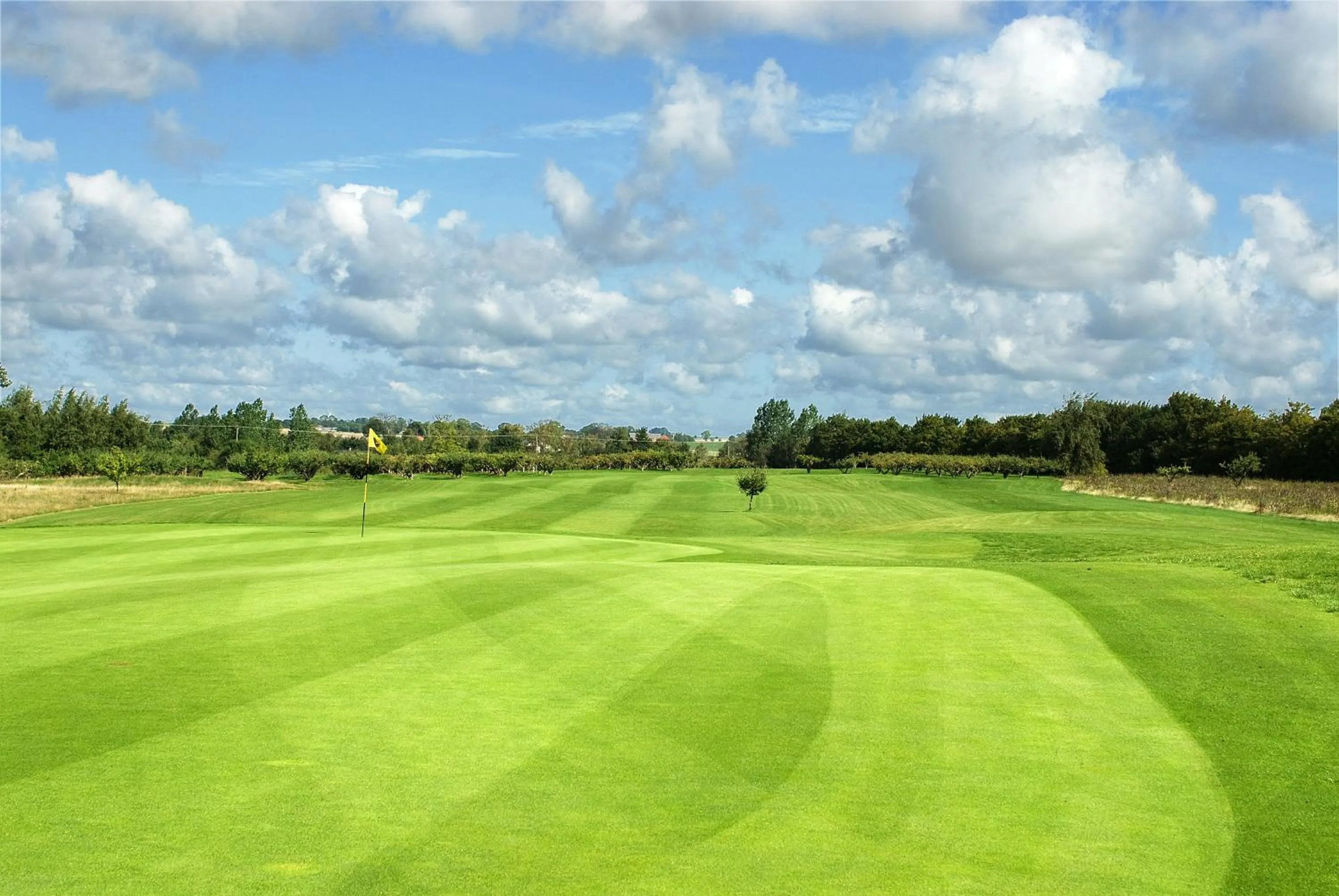 Area and facilities in Abbekås Golfrestaurang & Hotell