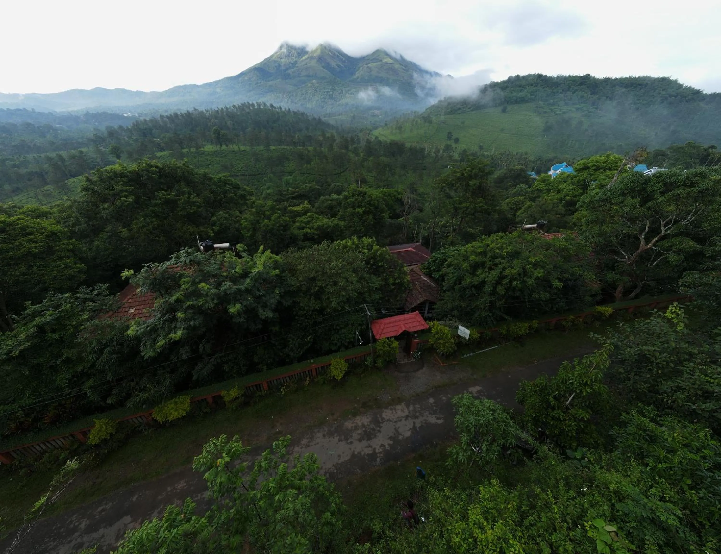 Property building in Planet Green Plantation Resorts, Wayanad, Kerala