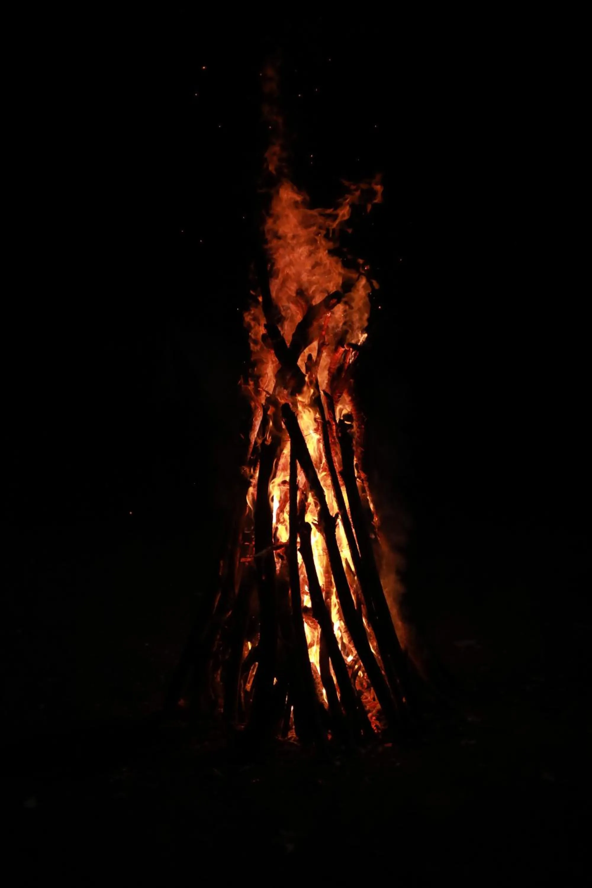 Other in Planet Green Plantation Resorts, Wayanad, Kerala