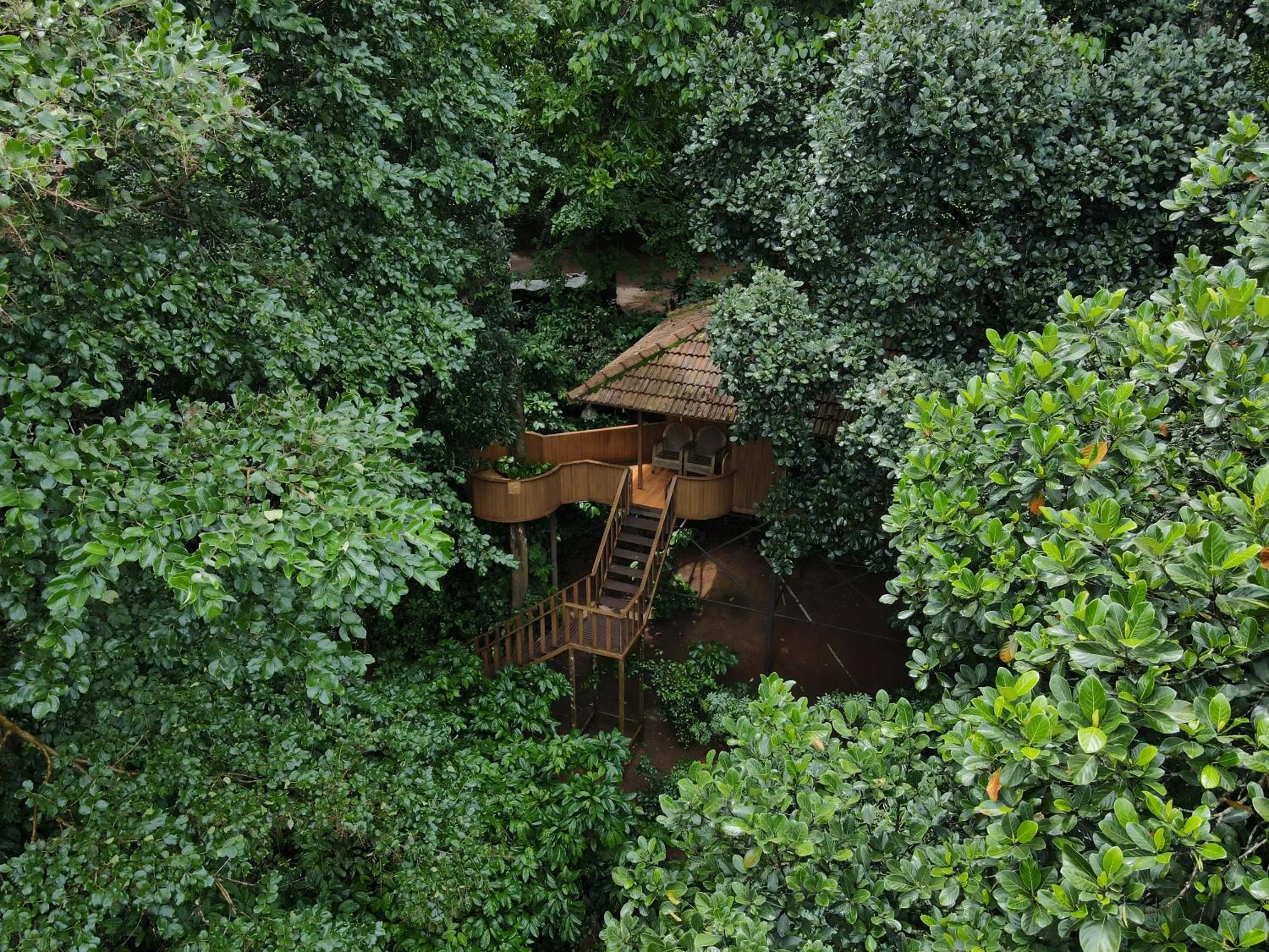 Other in Planet Green Plantation Resorts, Wayanad, Kerala