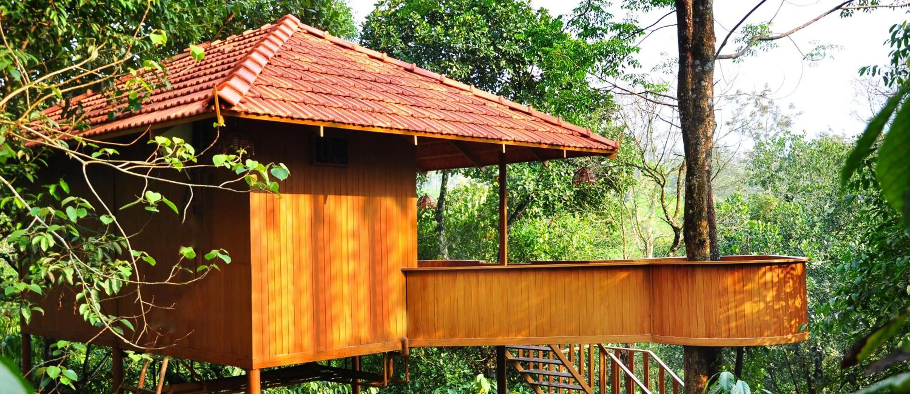 View (from property/room) in Planet Green Plantation Resorts, Wayanad, Kerala