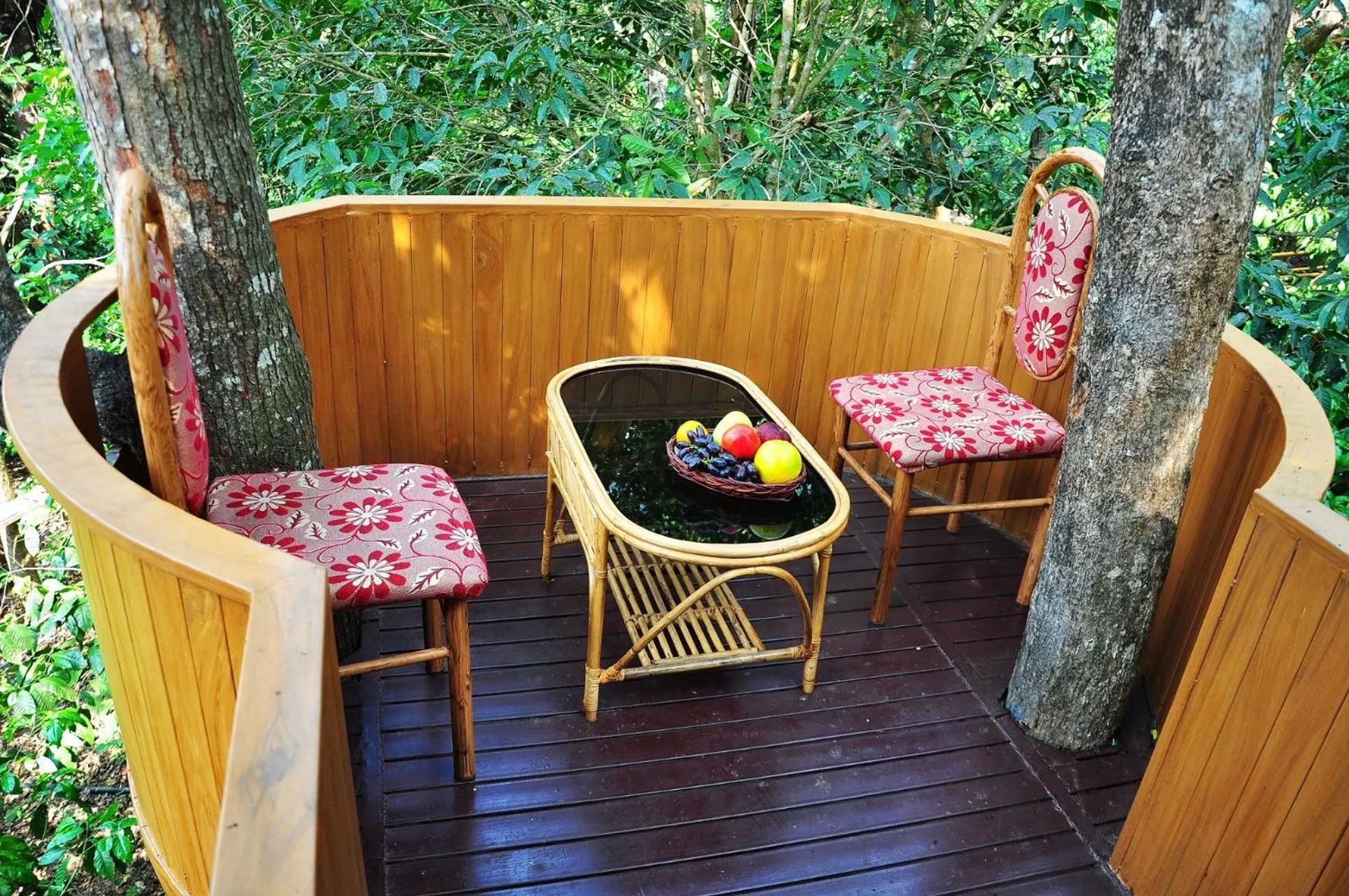 View (from property/room) in Planet Green Plantation Resorts, Wayanad, Kerala