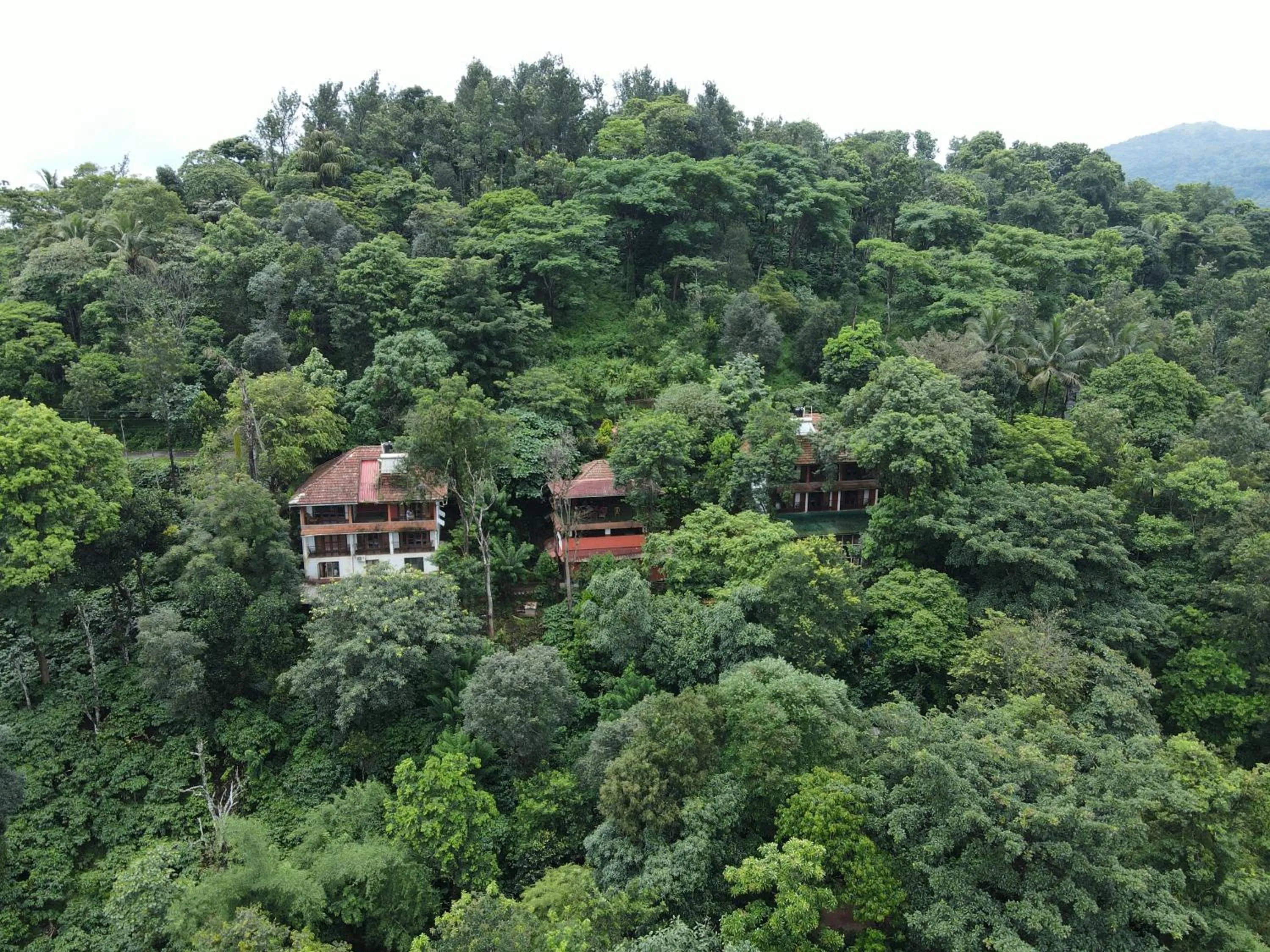 Property building in Planet Green Plantation Resorts, Wayanad, Kerala