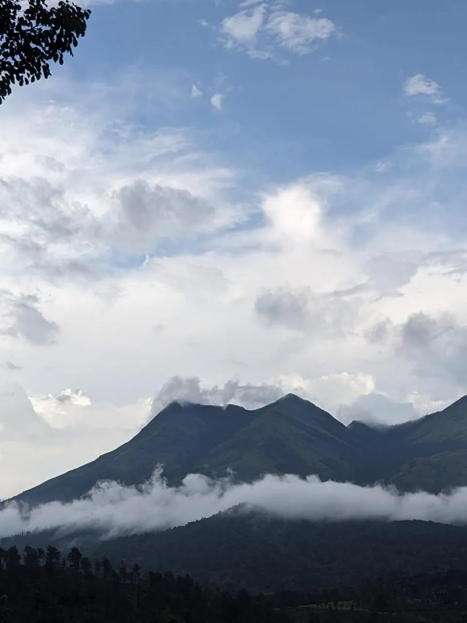 View (from property/room) in Planet Green Plantation Resorts, Wayanad, Kerala