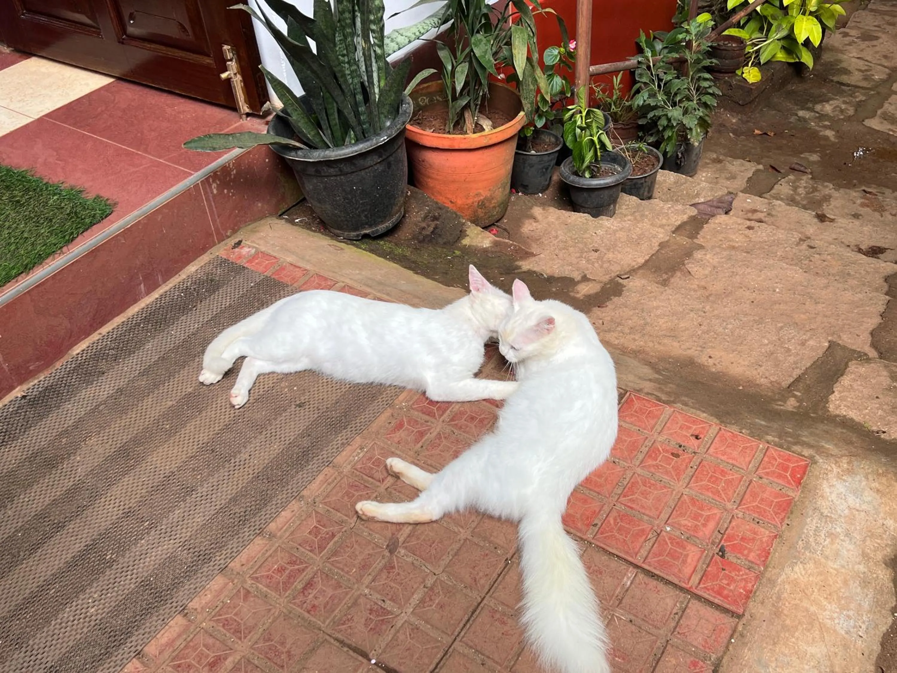 Other in Planet Green Plantation Resorts, Wayanad, Kerala