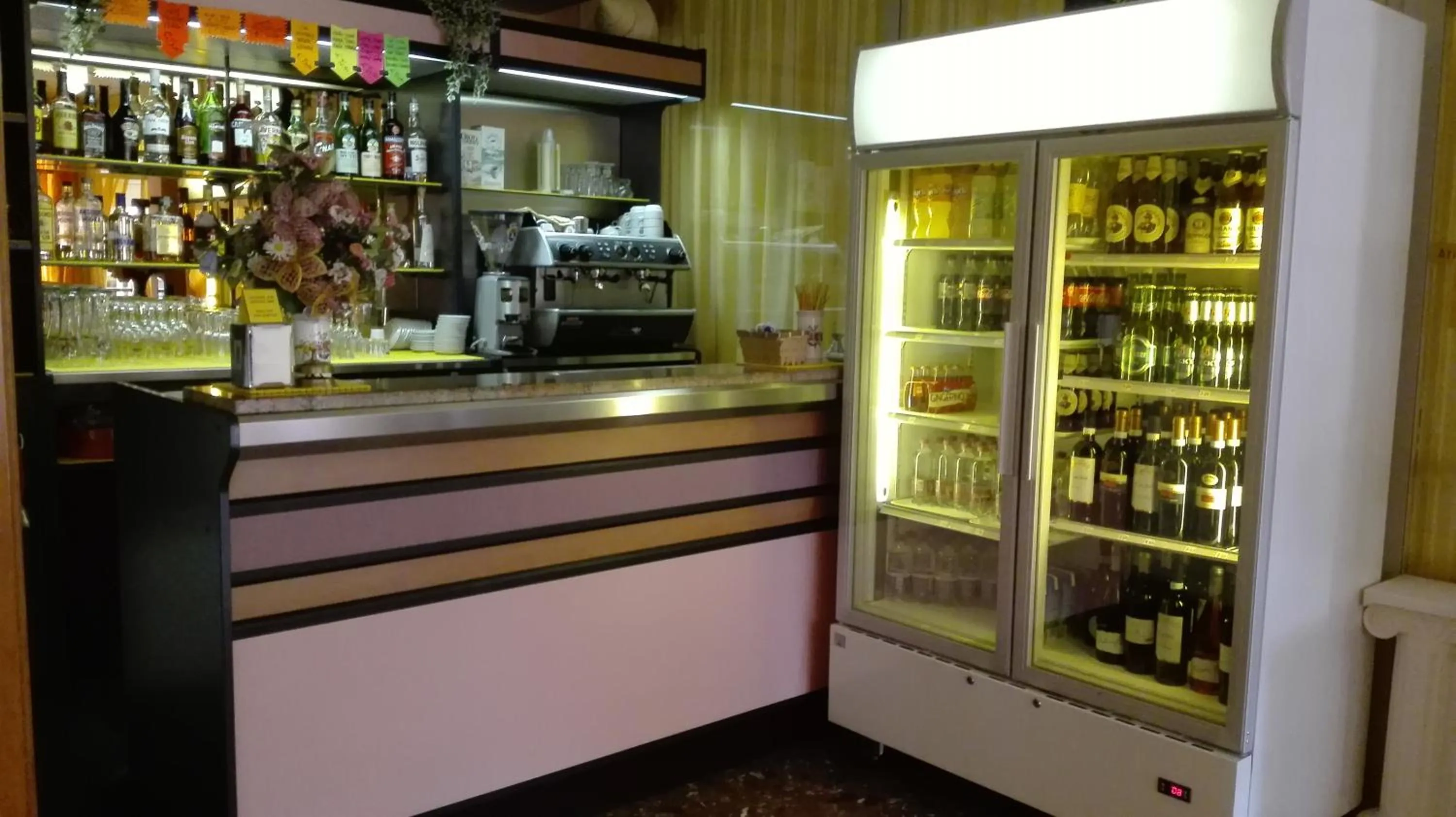 Lounge or bar in Hotel Paron