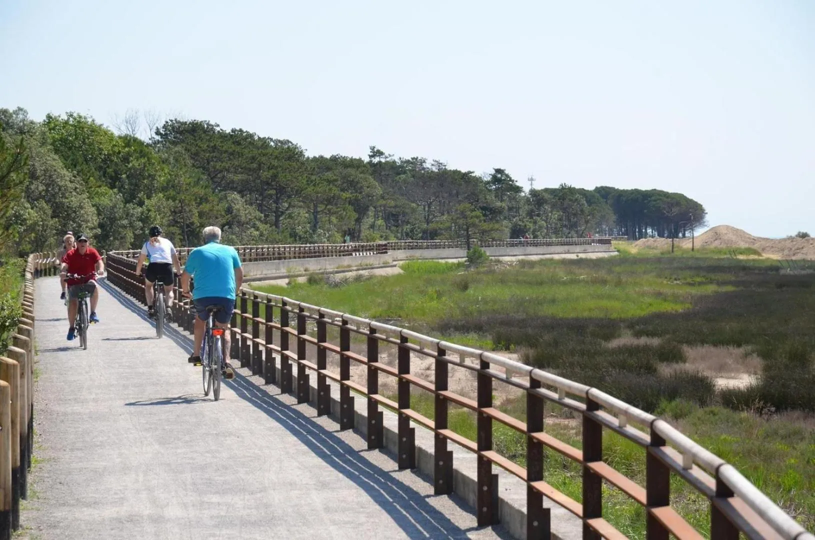 Natural landscape in Hotel Paron