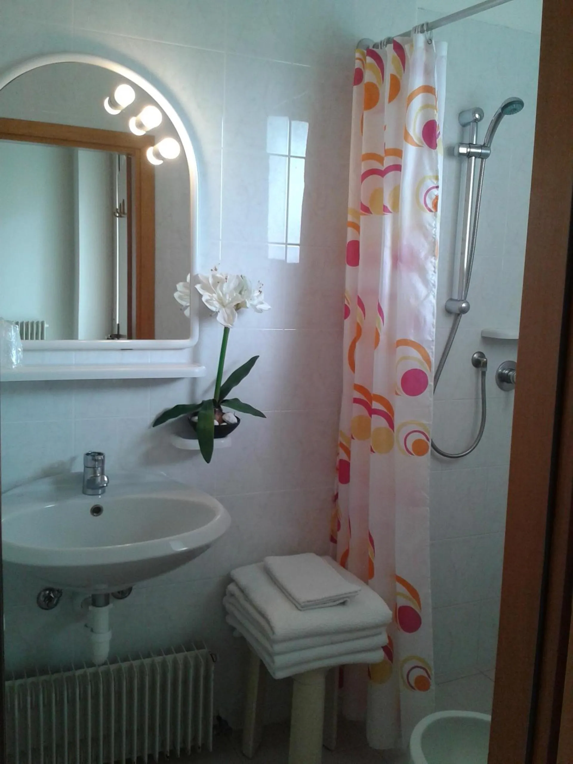 Bathroom in Hotel Paron