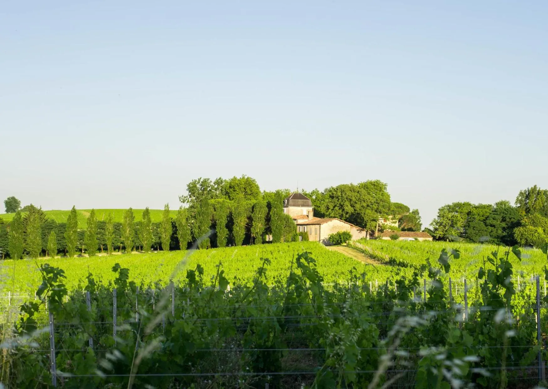 Spring in Atena Bordeaux Sud Est Créon - Vélo Friendly