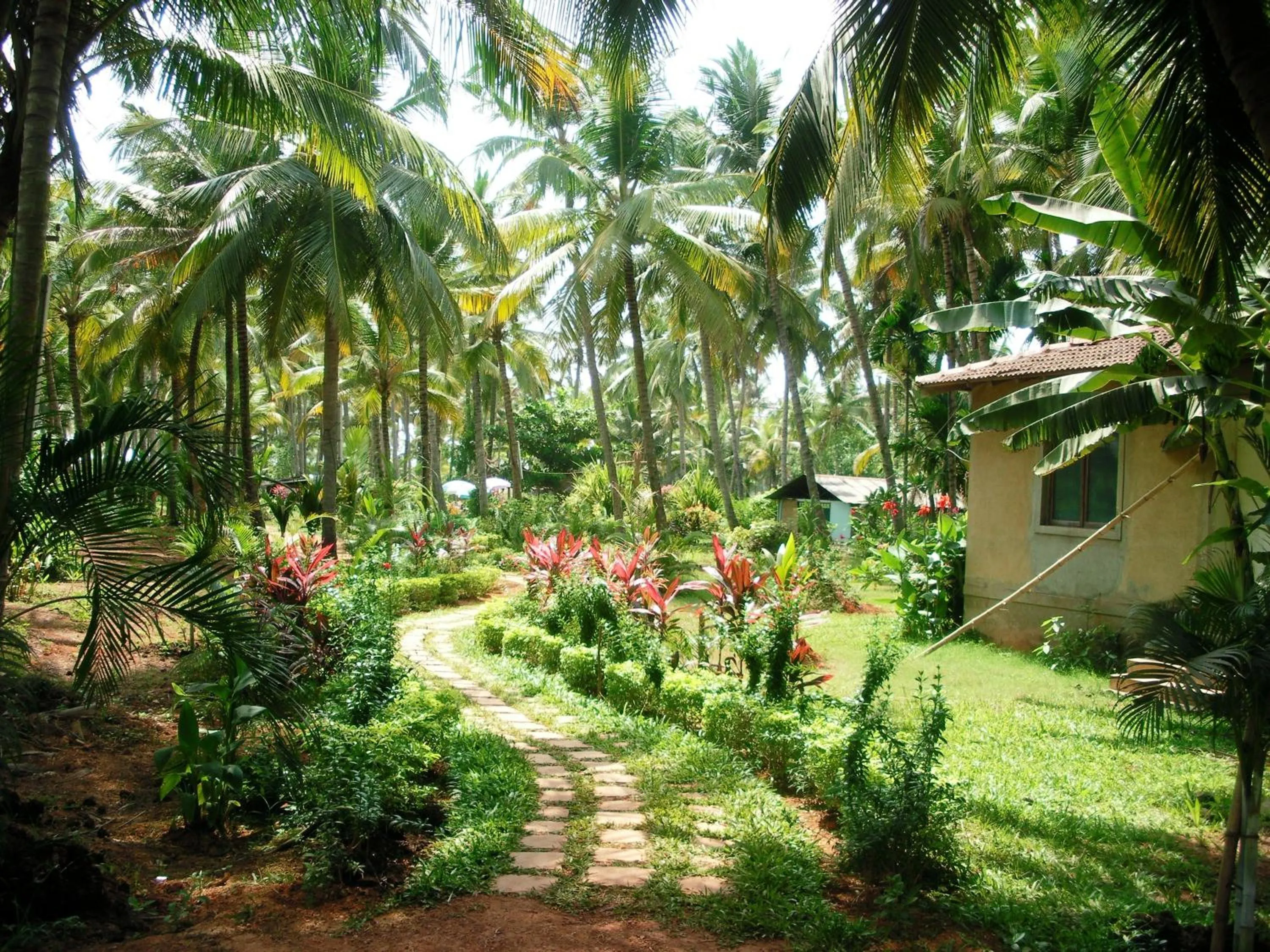 Food close-up in Alagoa Resort