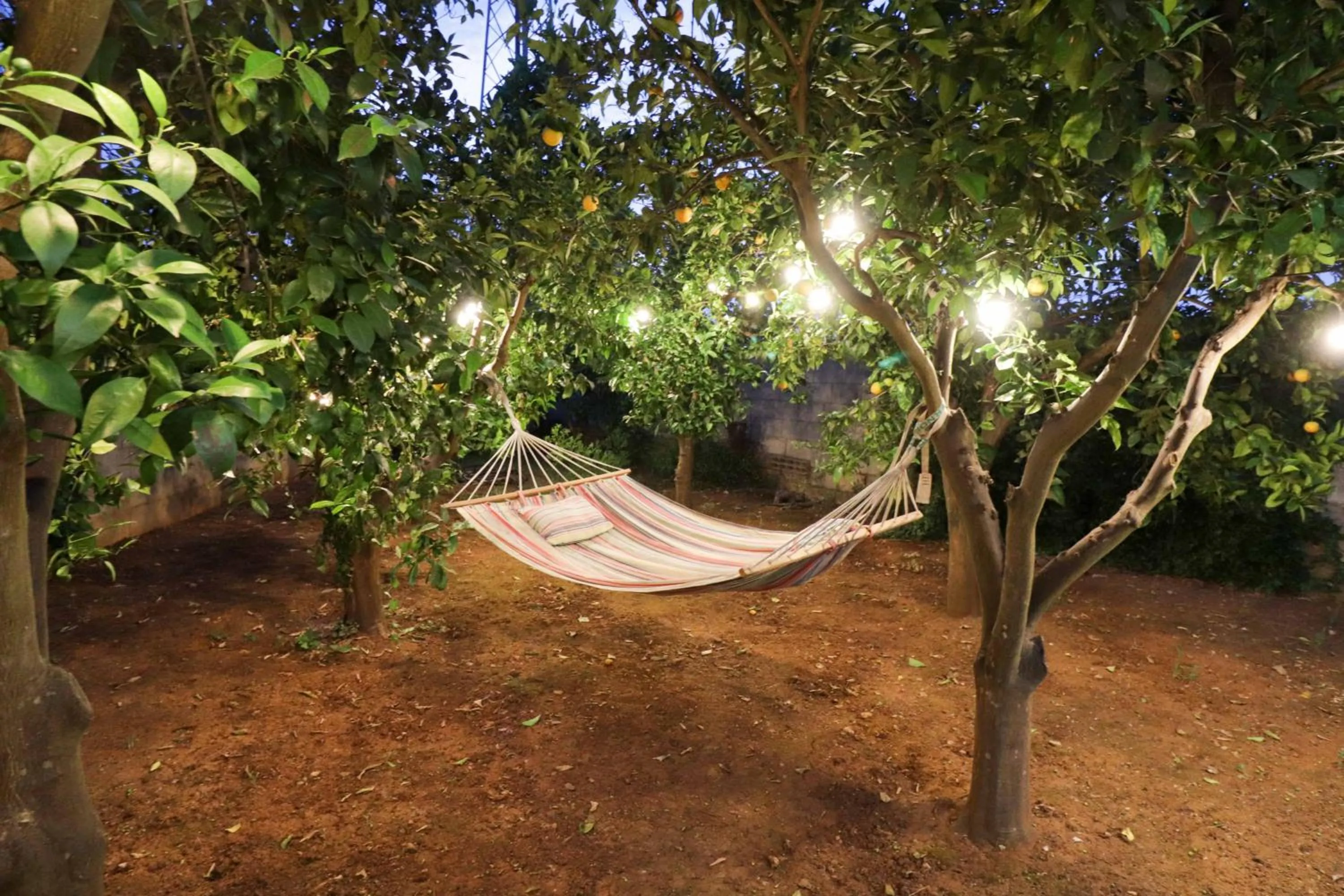 Garden in santa potenza