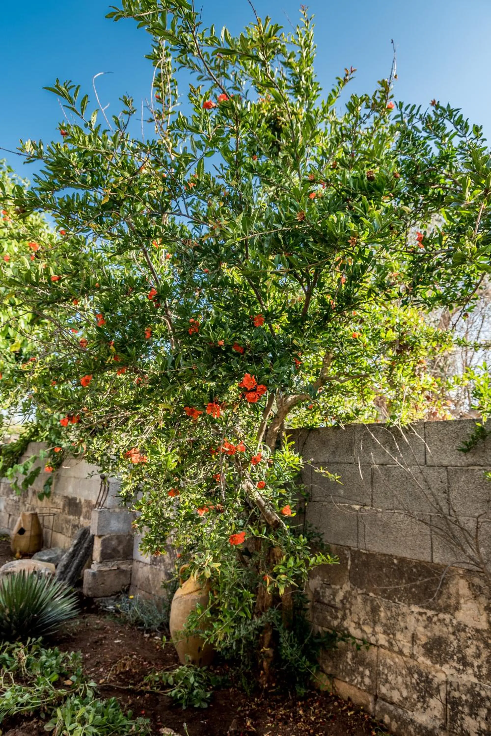 Natural landscape in santa potenza