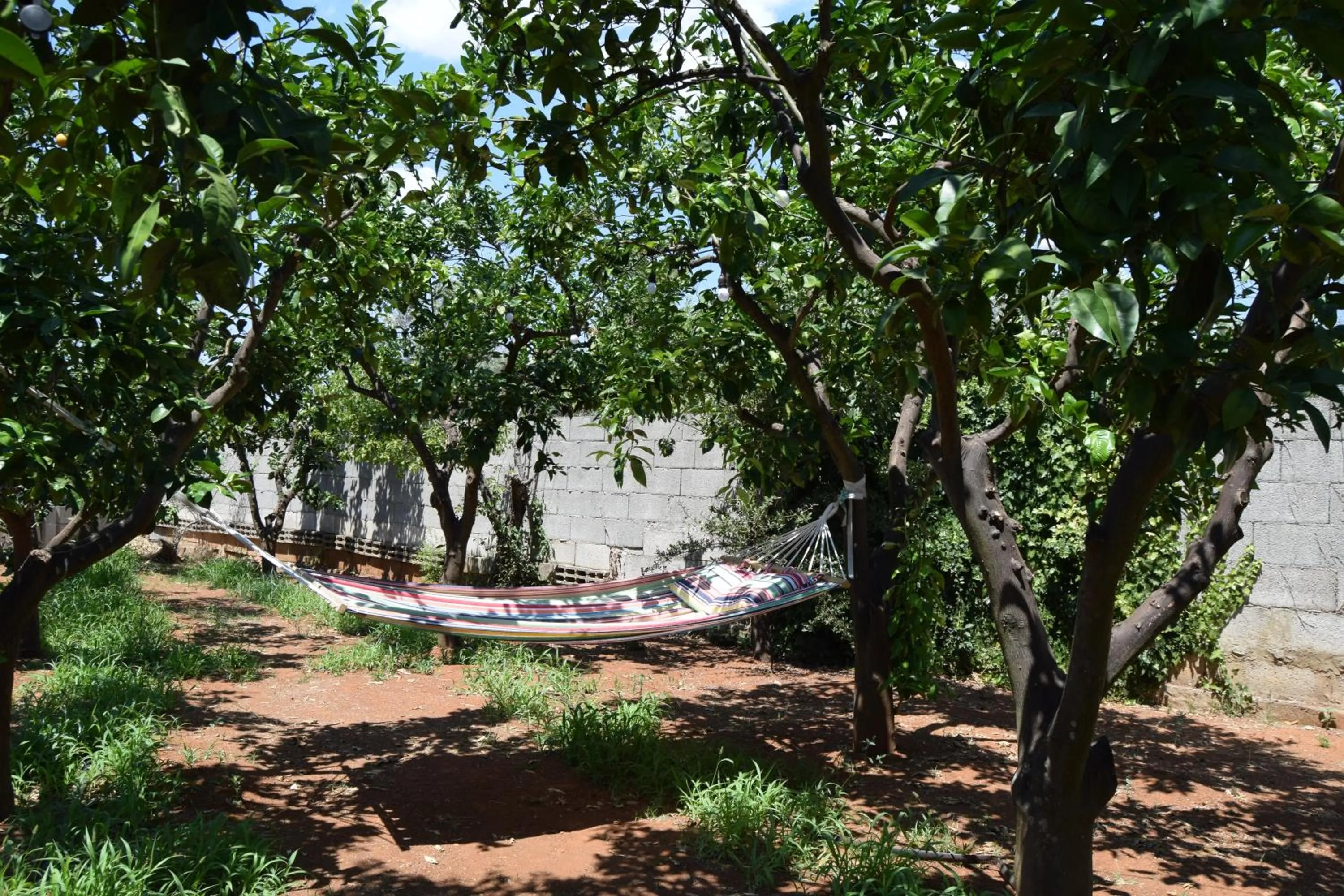 Natural landscape in santa potenza