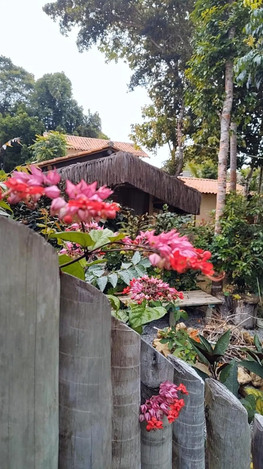 4 Elementos Guest House