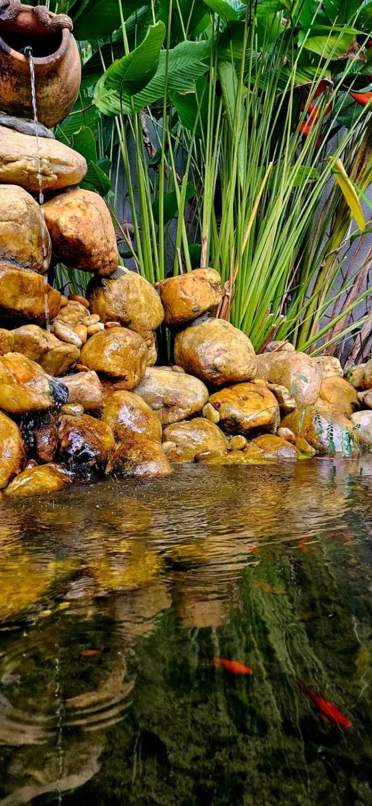 4 Elementos Guest House