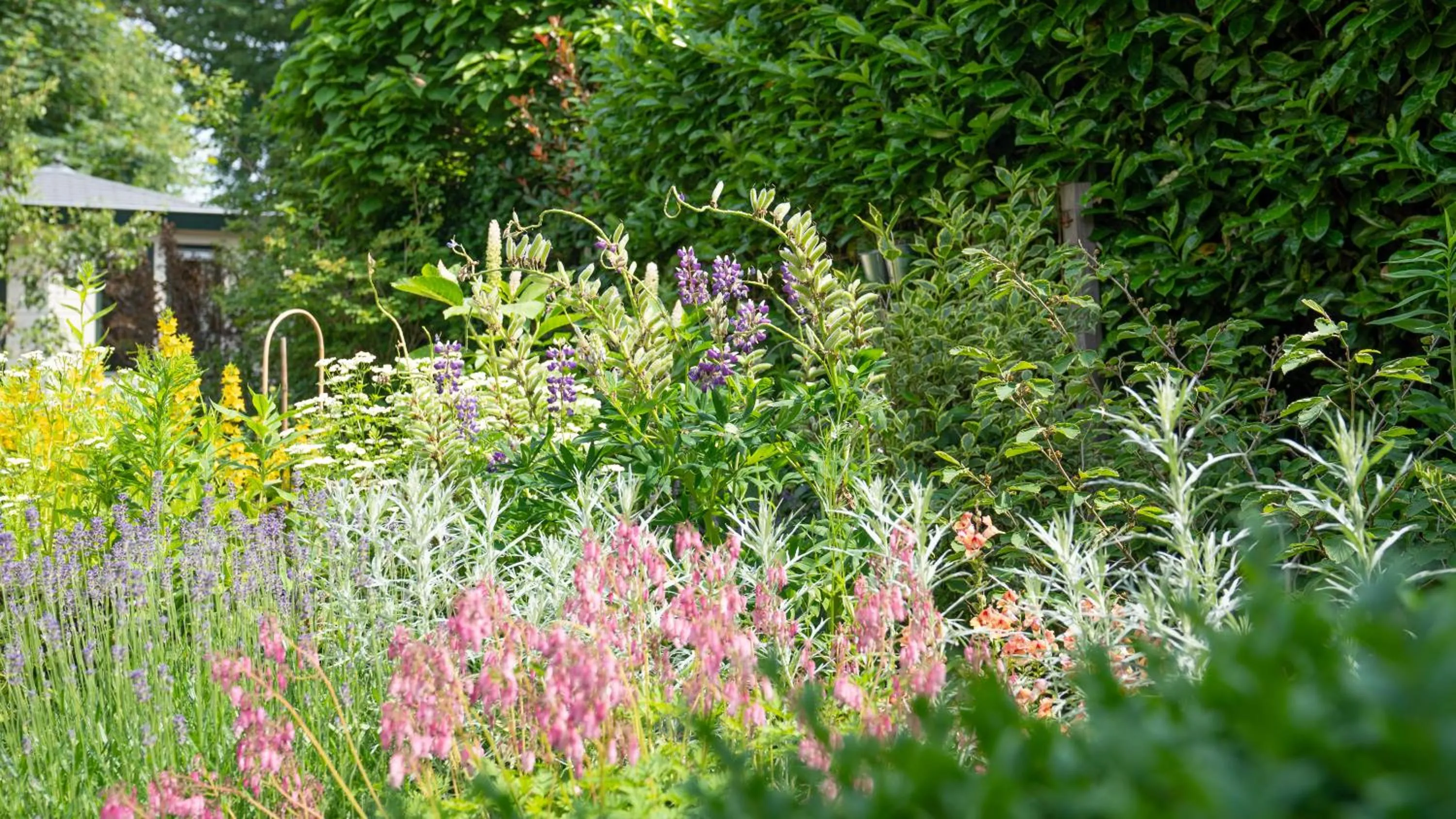 Garden in De Anselier