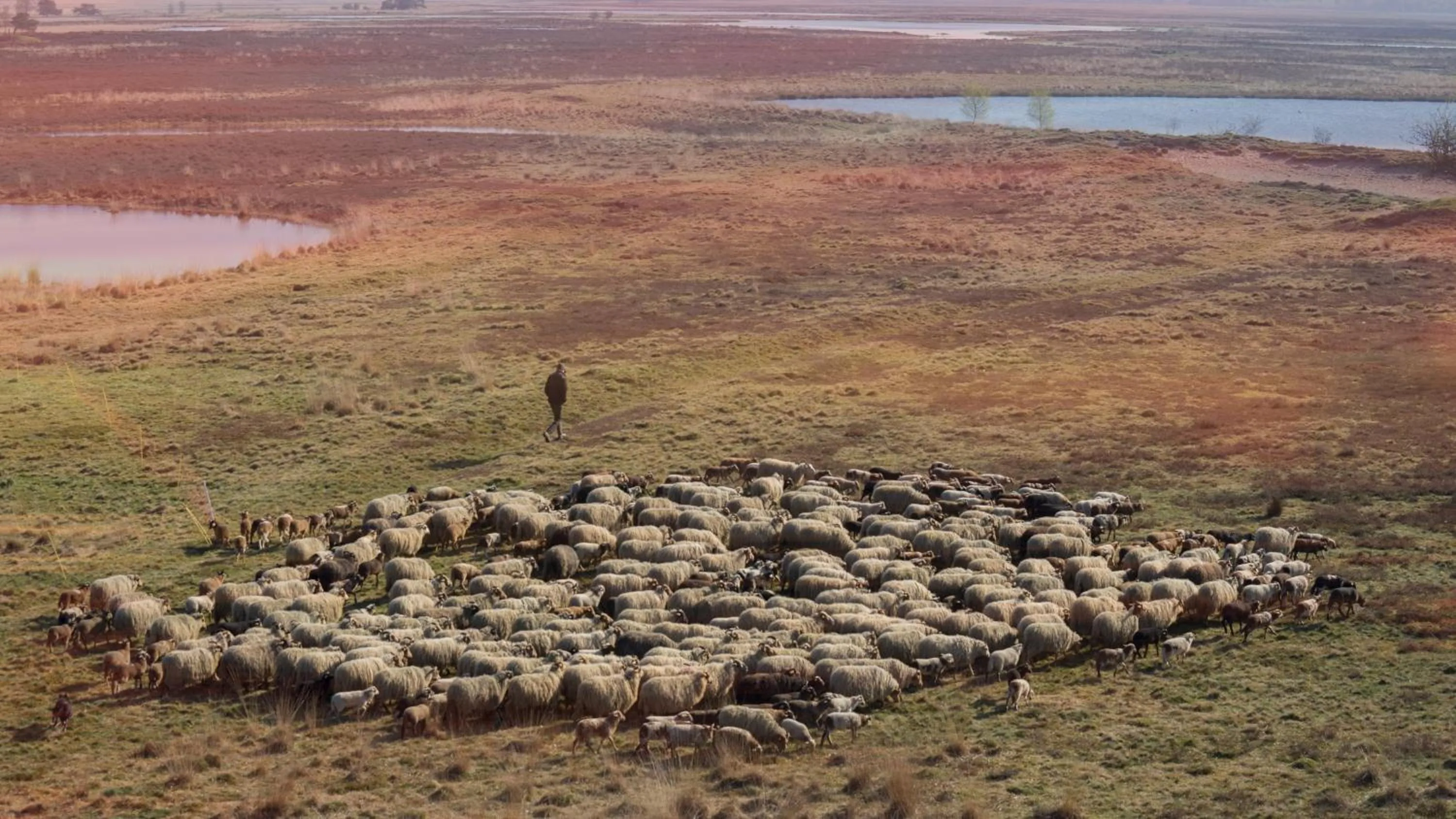 Nearby landmark in De Anselier