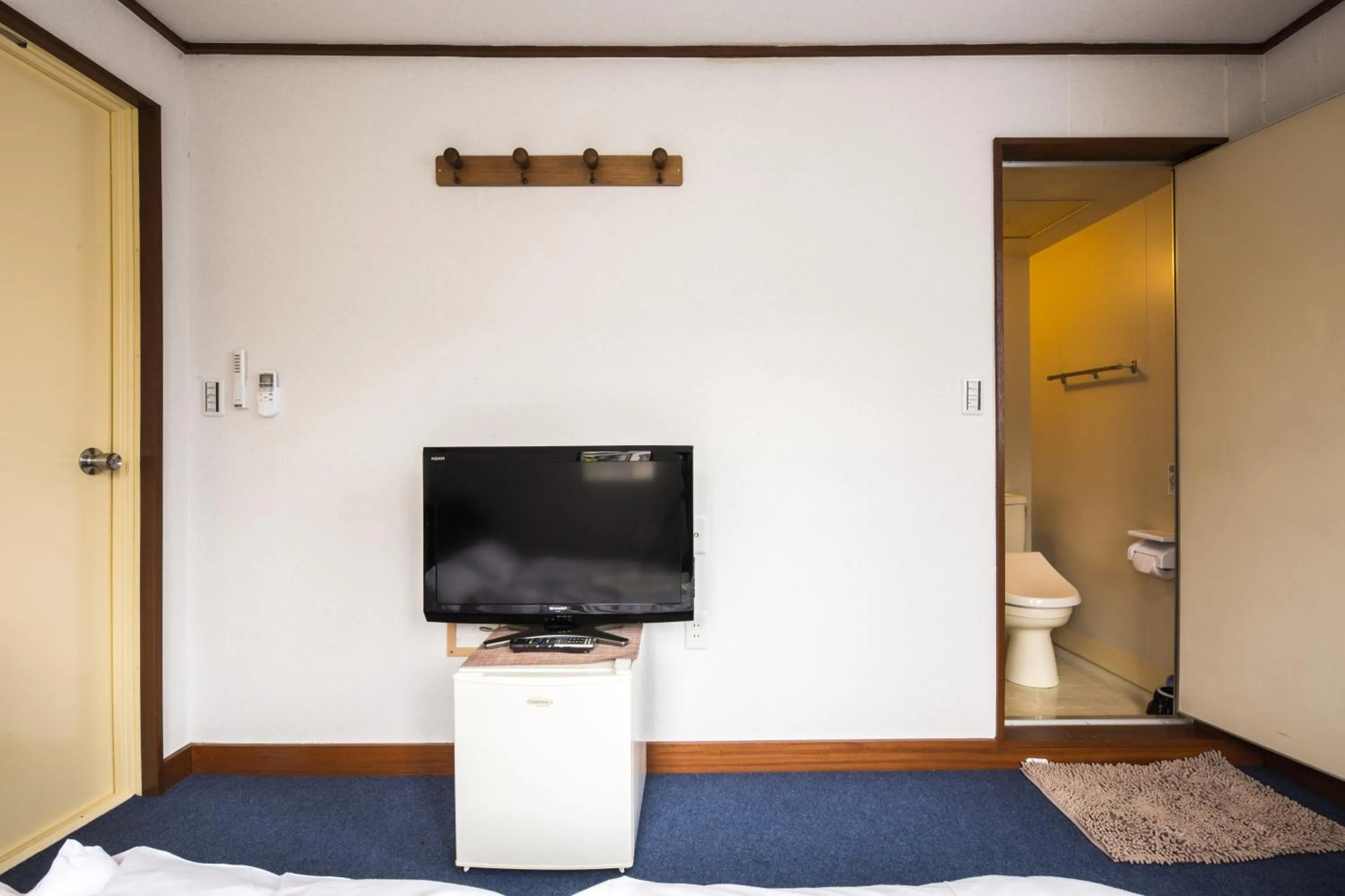 TV and multimedia in Kinugawa Pension Bamboo