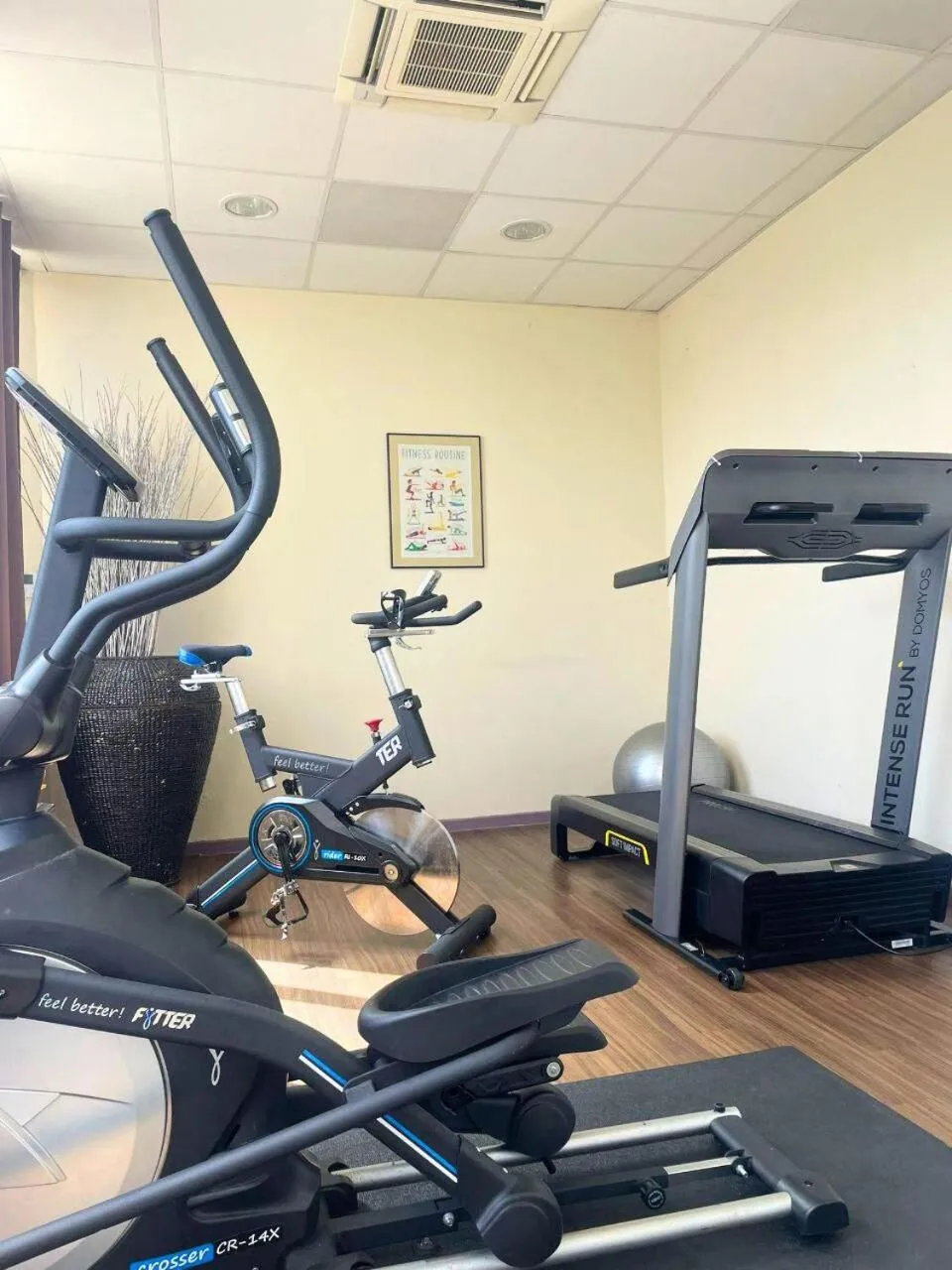 Sports in Hôtel Arles Plaza