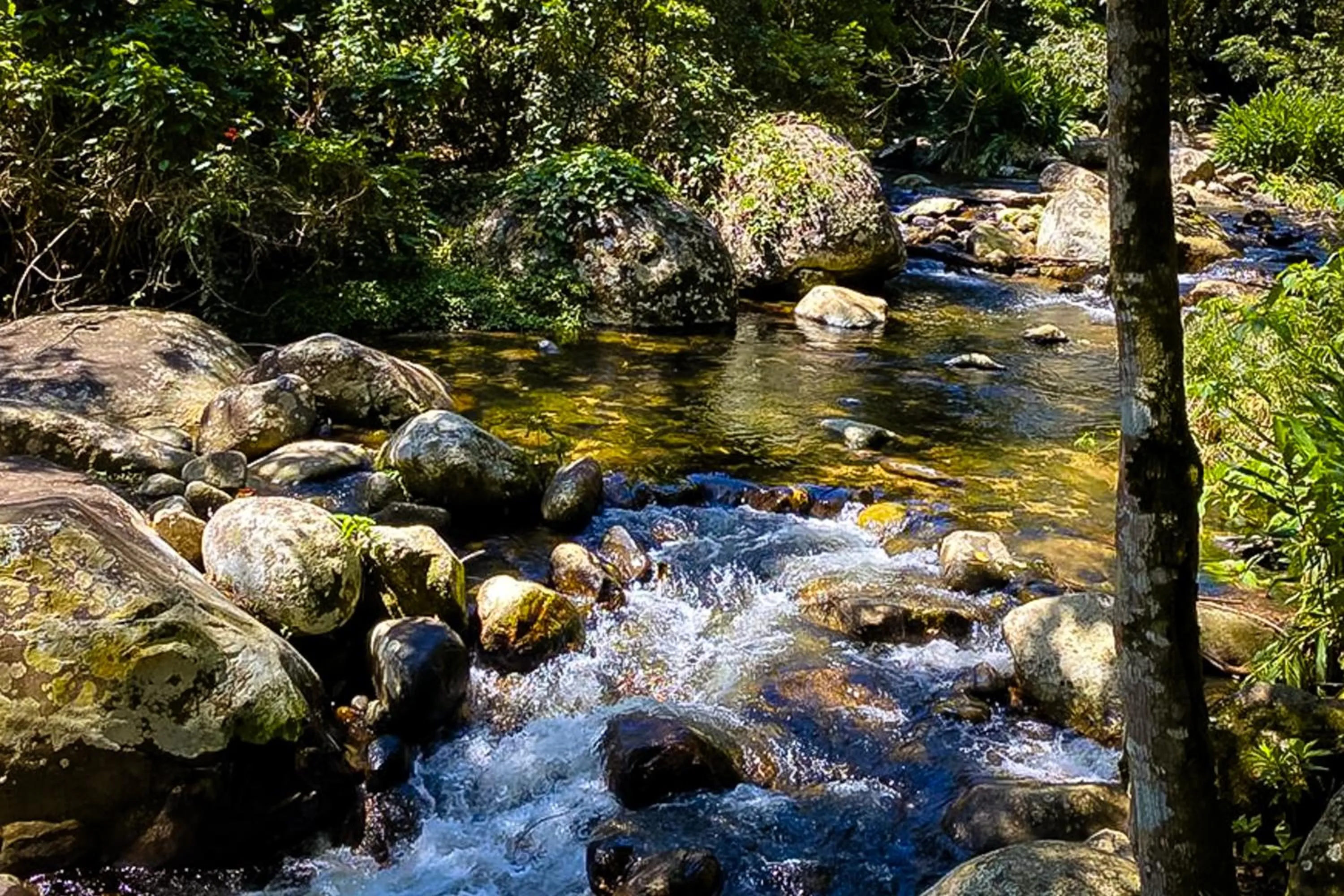 Day in VELINN Pousada Bromelias