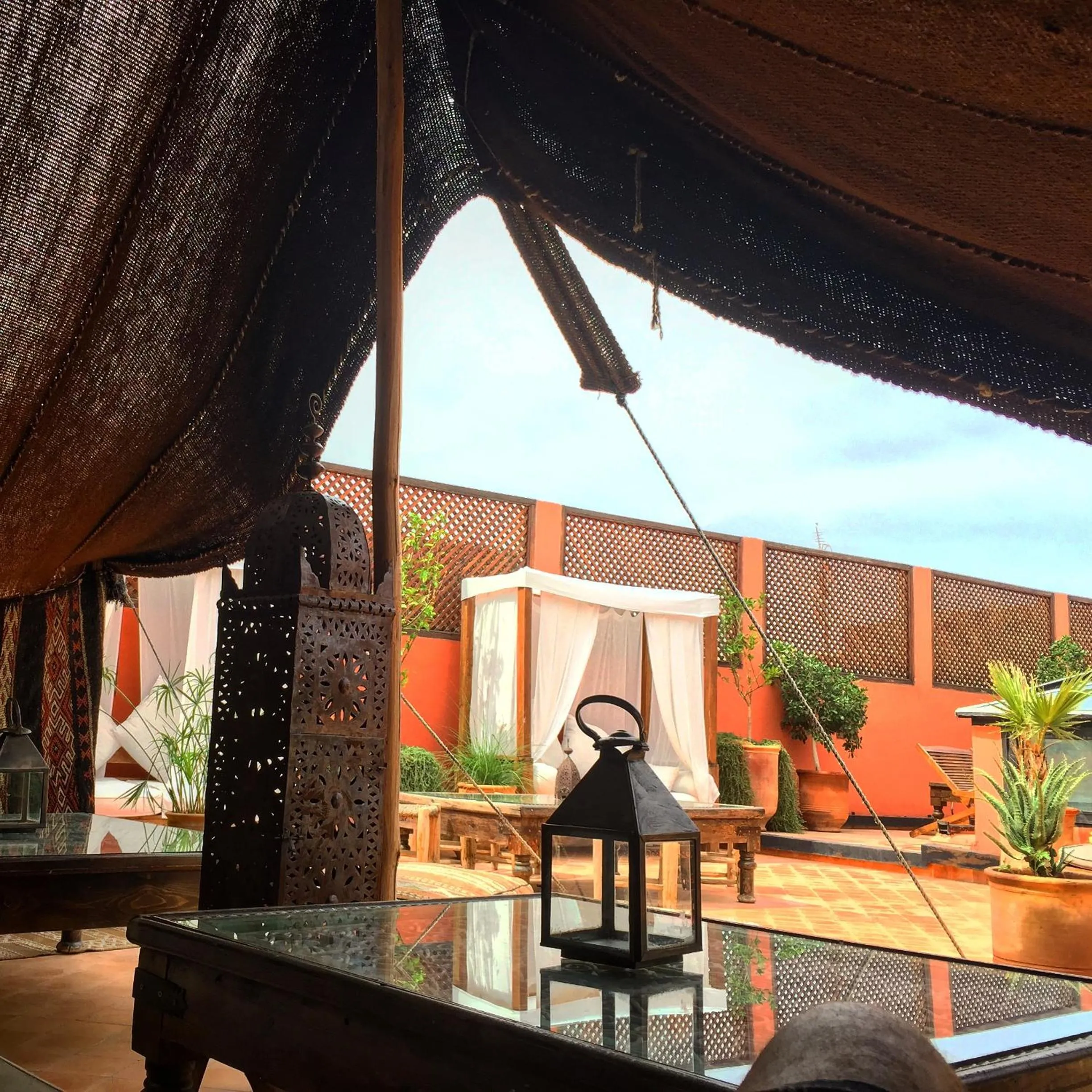 Garden view in Riad Palacio De Las Especias