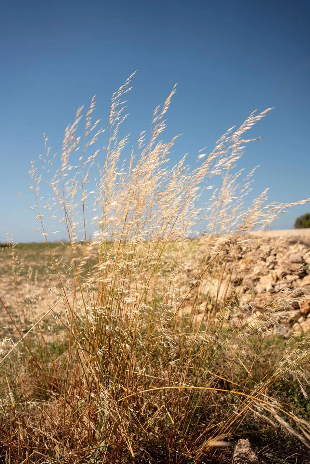 Natural landscape in Fiftyfour West Boutique Living