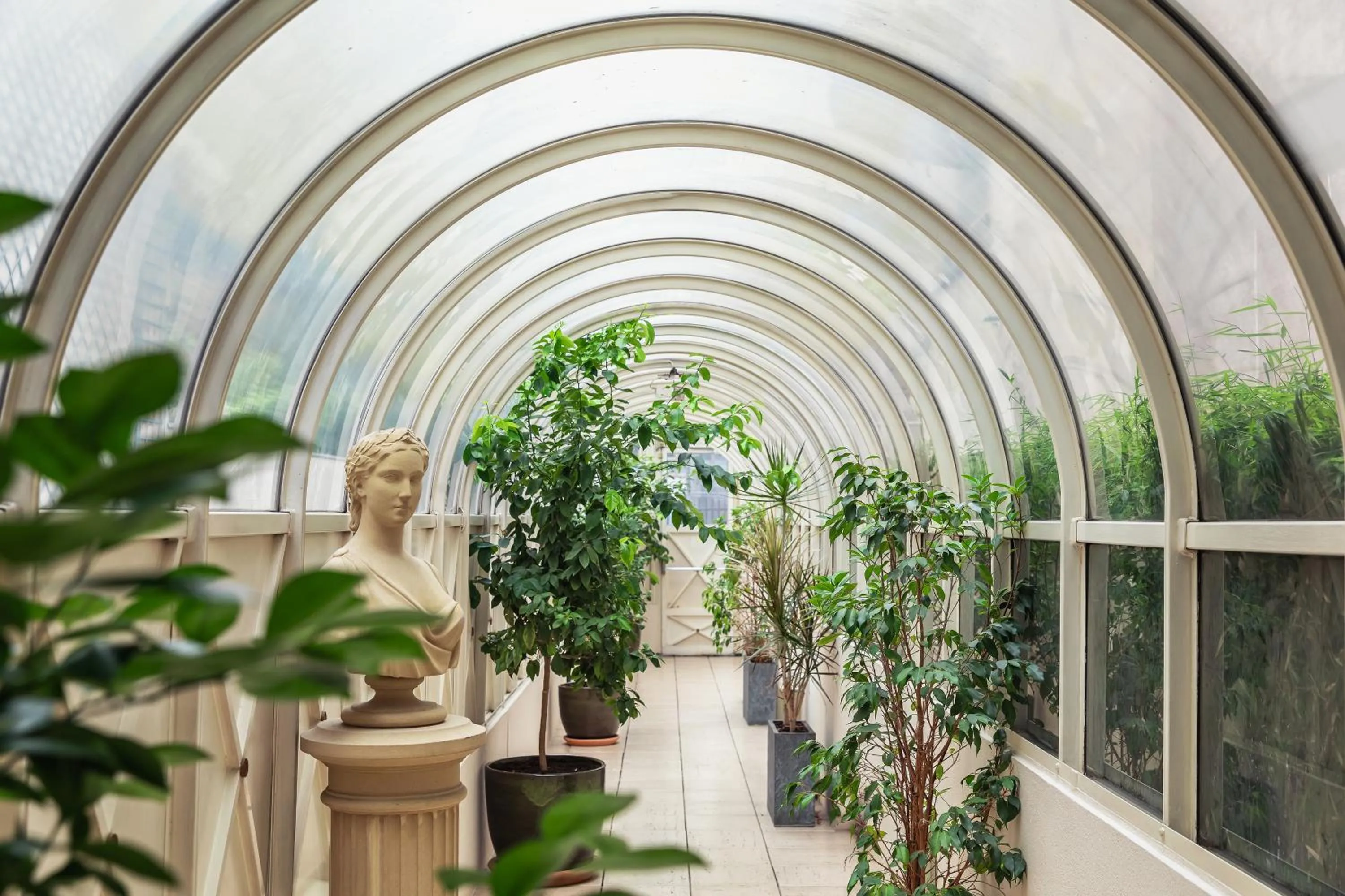 Area and facilities in Royal Garden Champs-Élysées