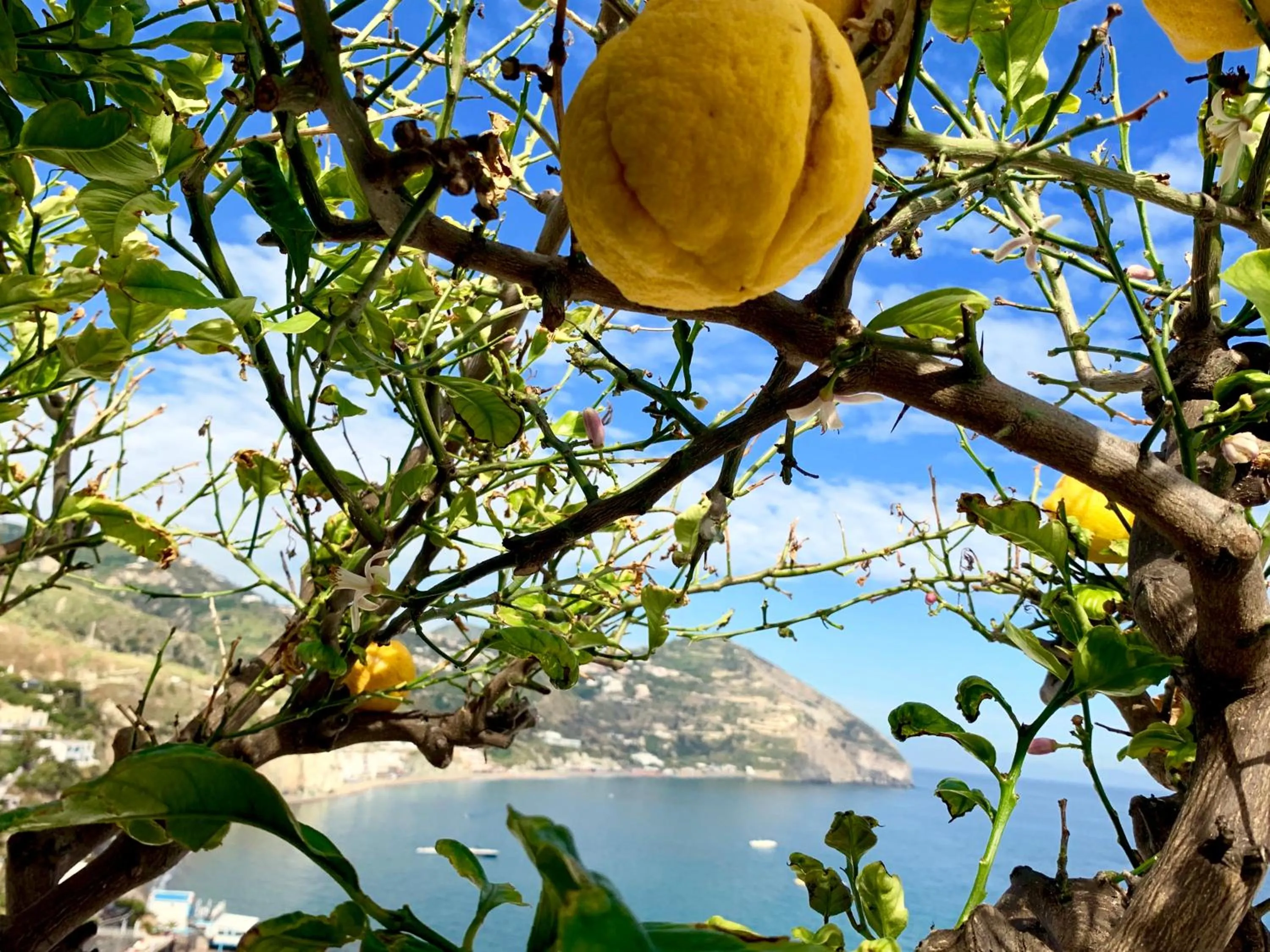 Property building in Villa Egidio