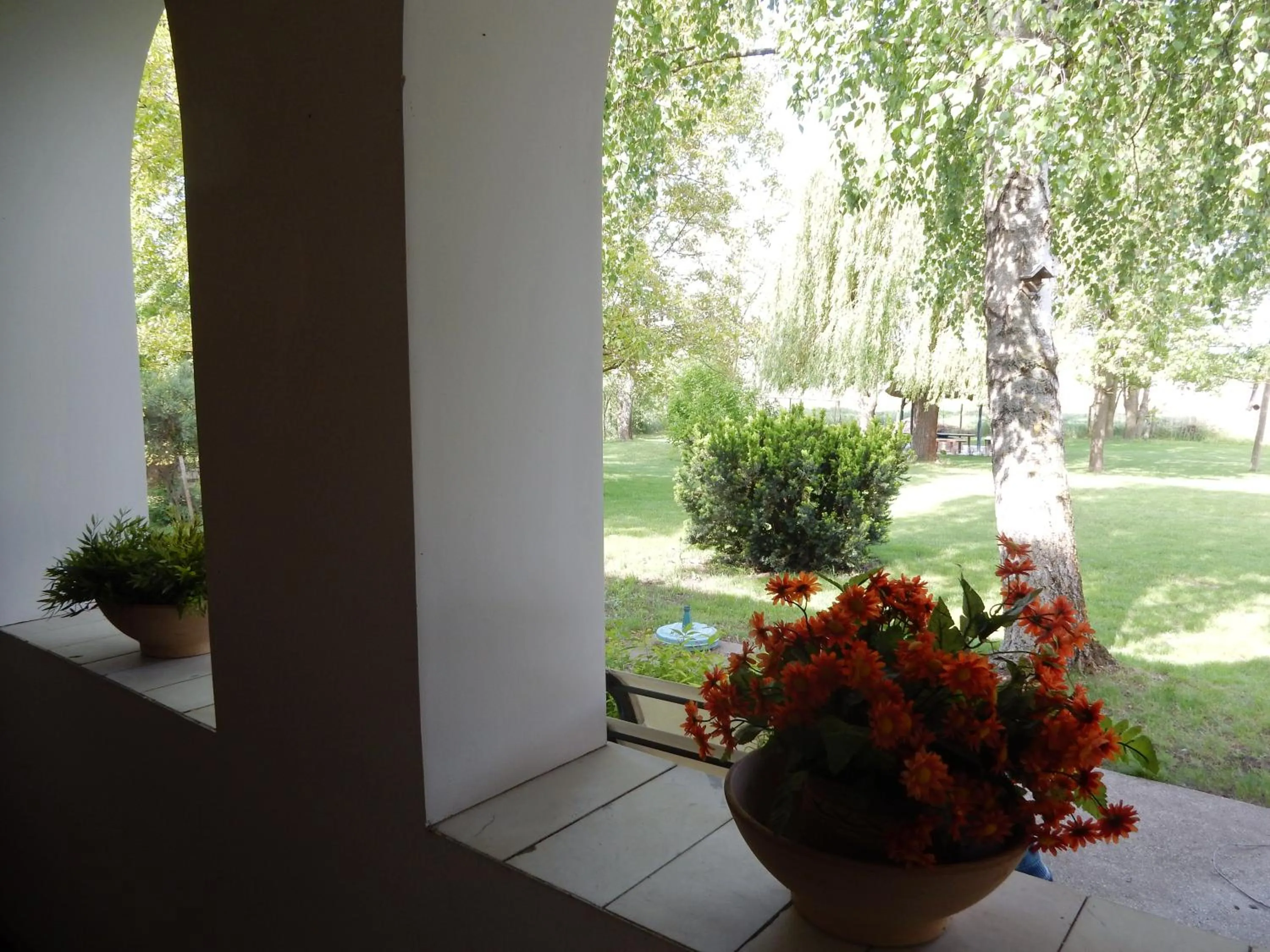 Garden view in Herberg Tisza