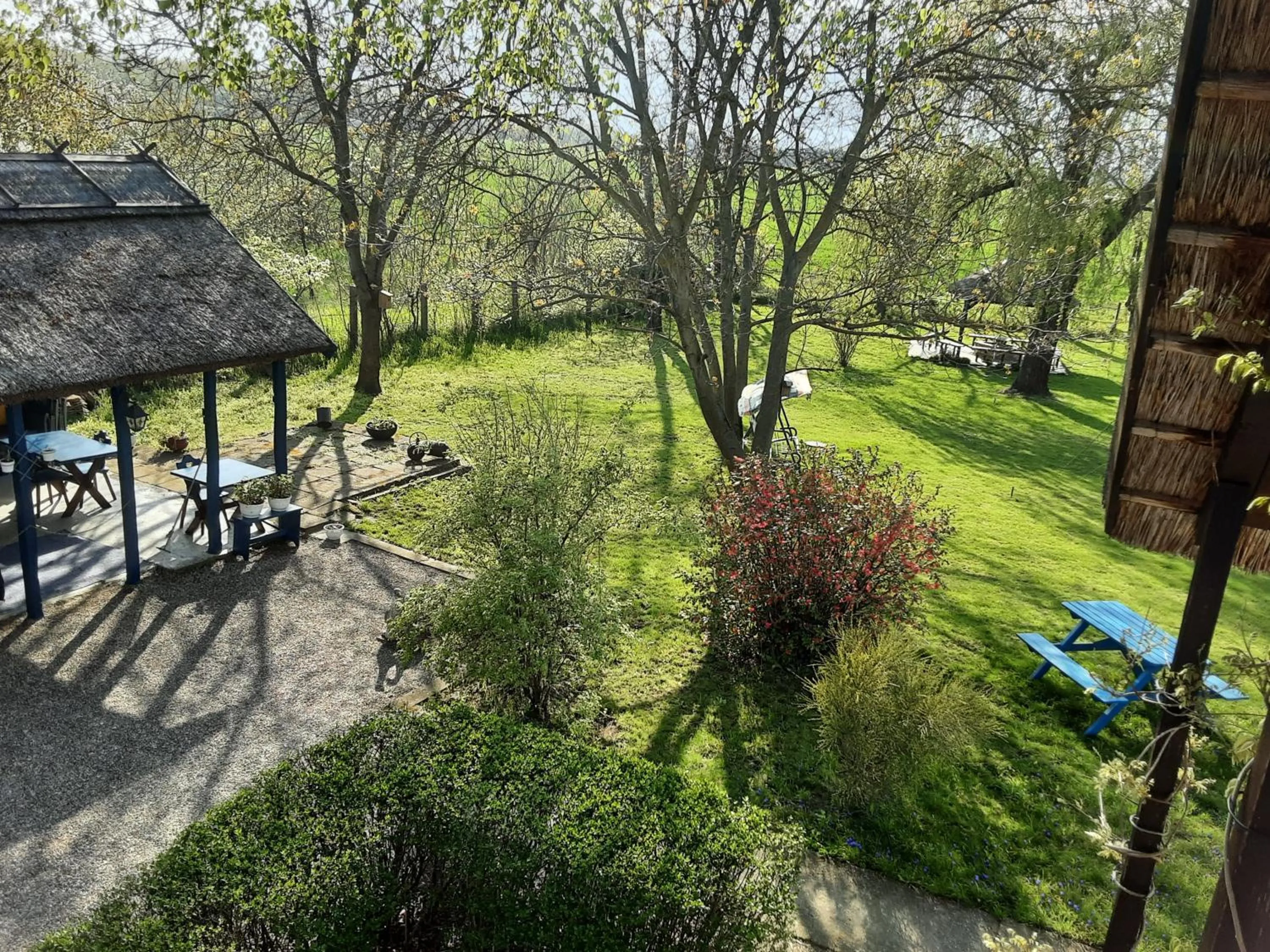 View (from property/room) in Herberg Tisza