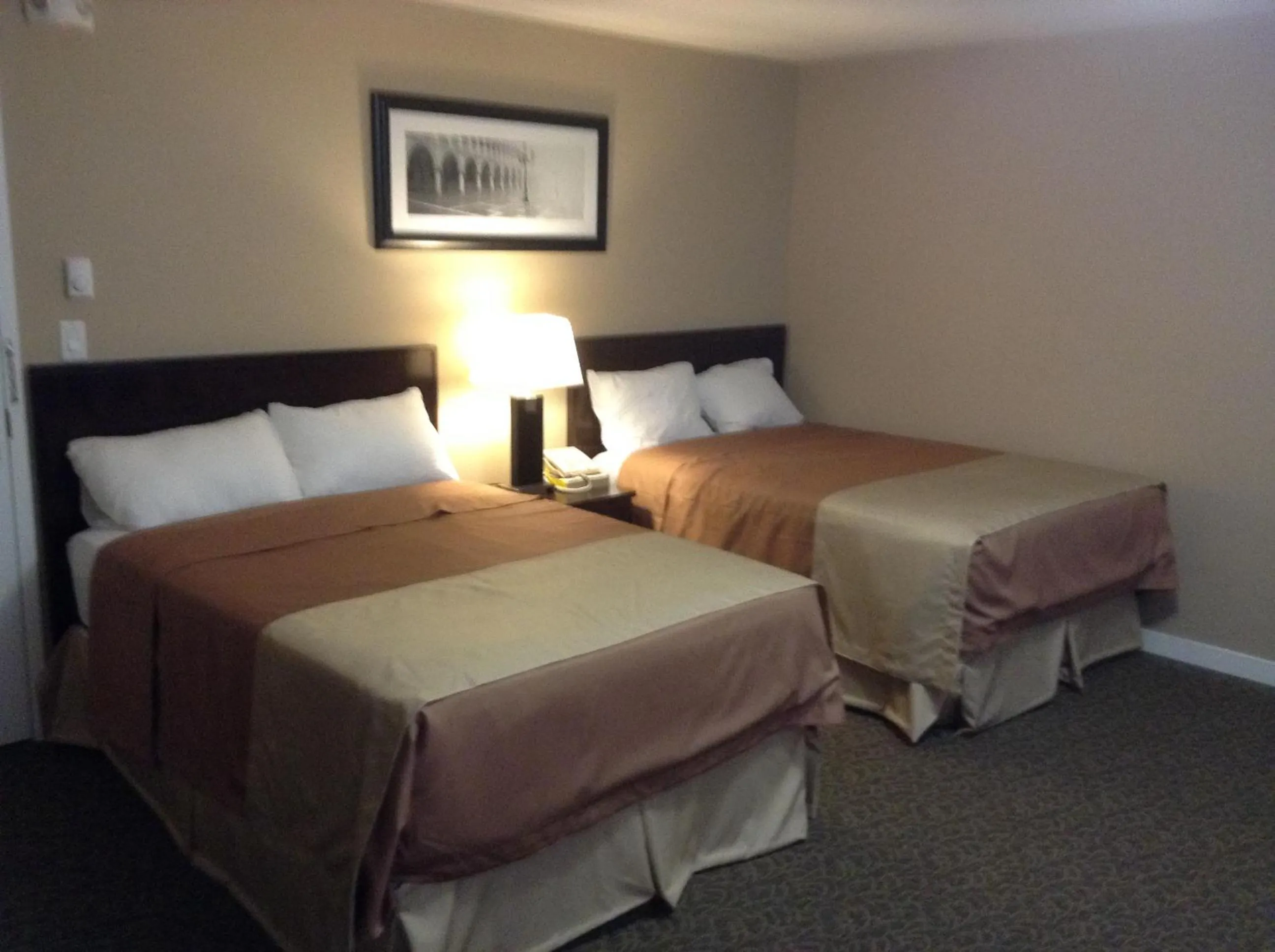 Bed in Sunrise Motel