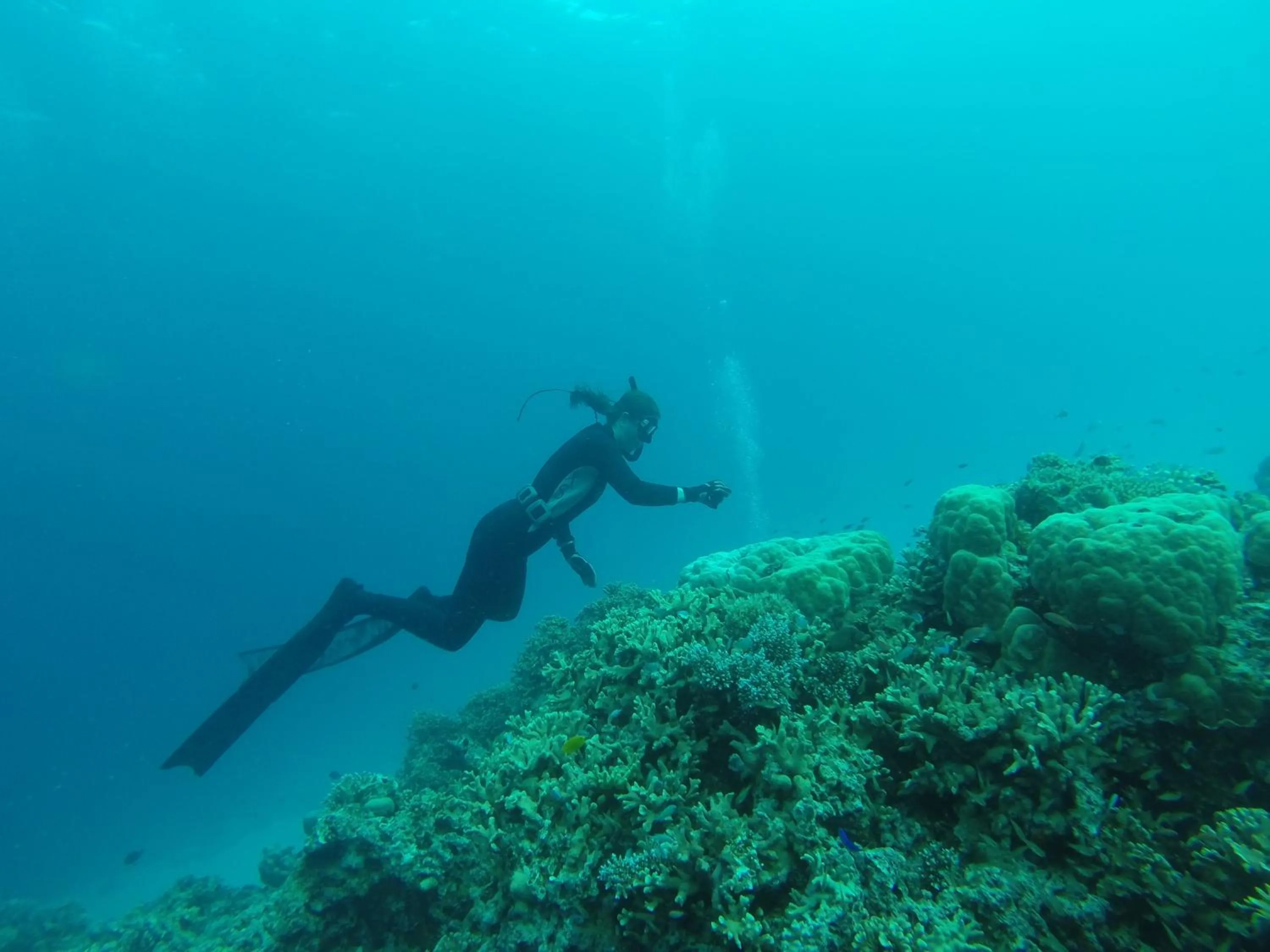 Snorkeling in Tranquility Island Eco Dive Resort