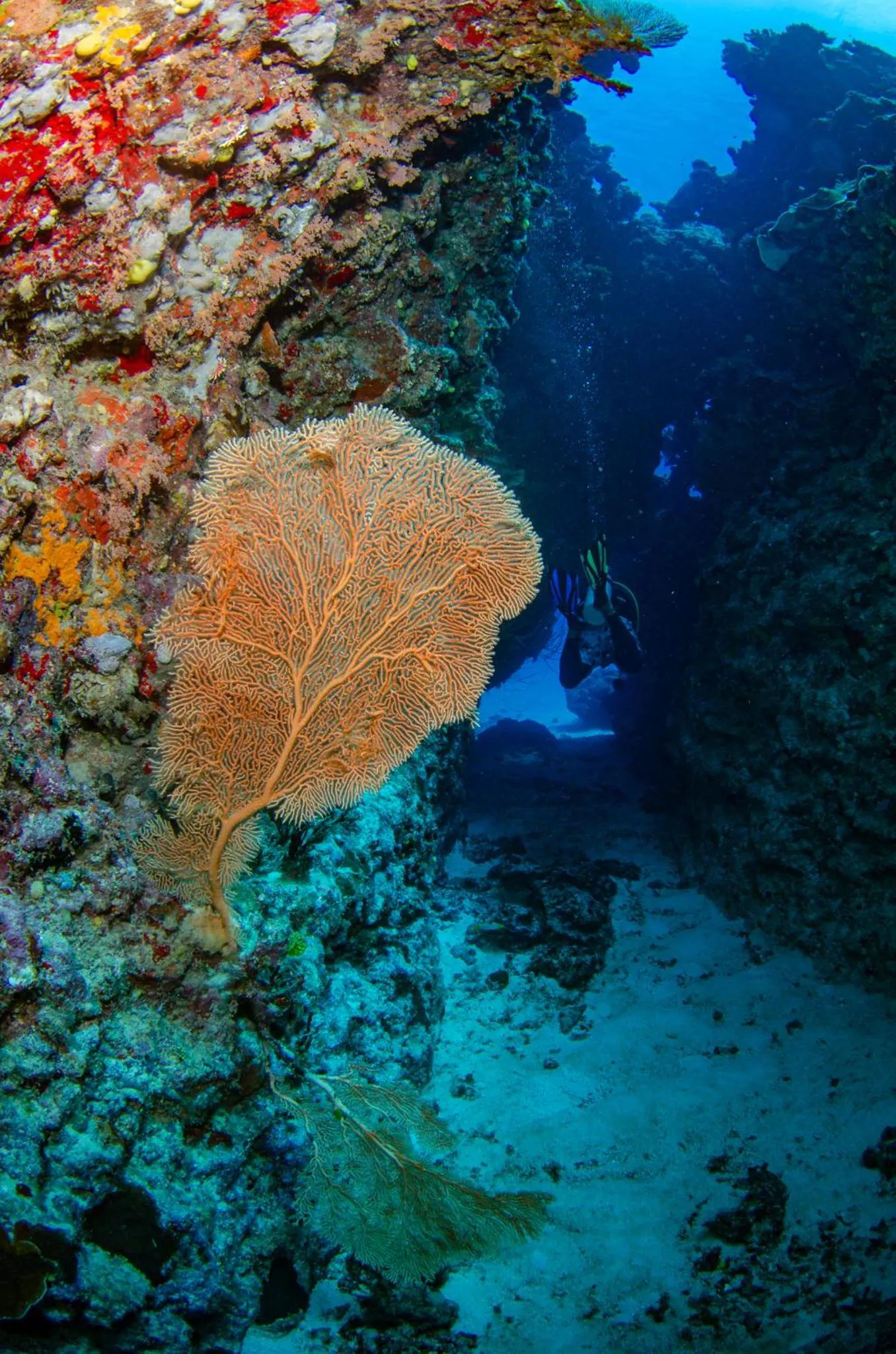 Activities in Tranquility Island Eco Dive Resort