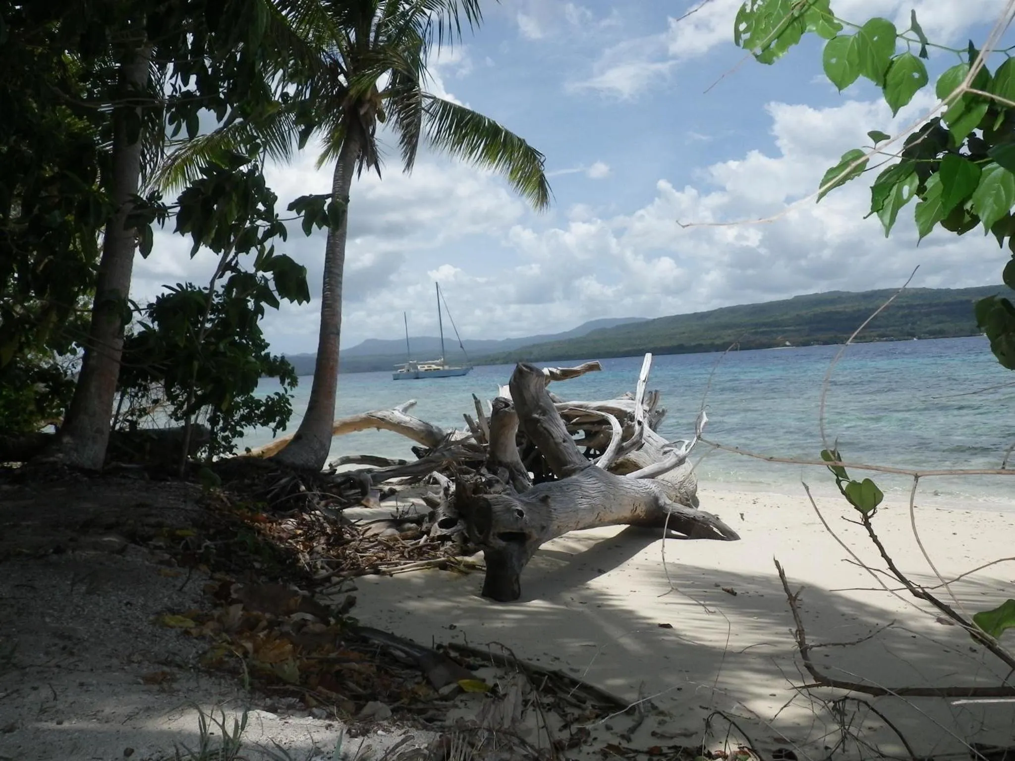 Natural landscape in Tranquility Island Eco Dive Resort