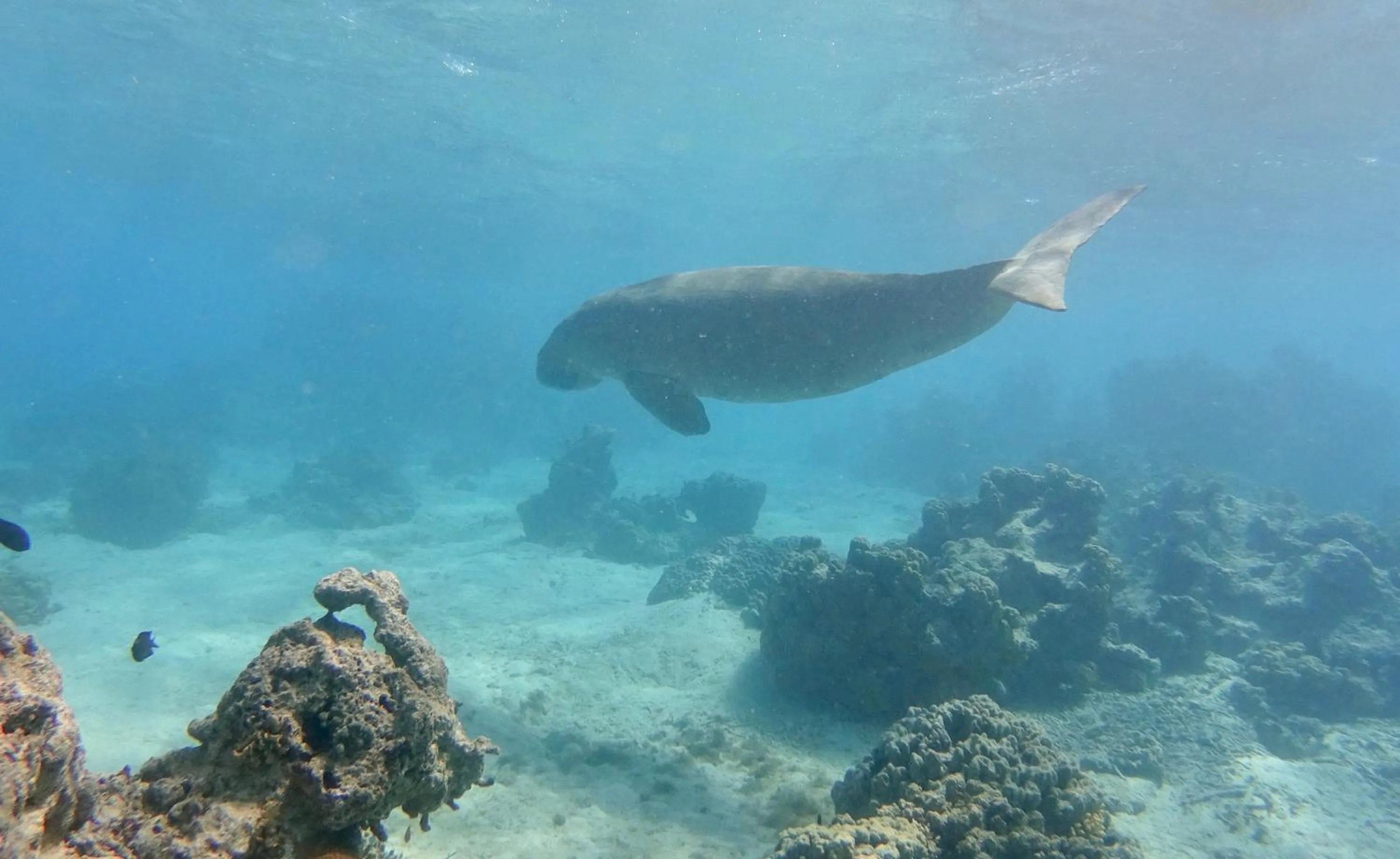 Other in Tranquility Island Eco Dive Resort