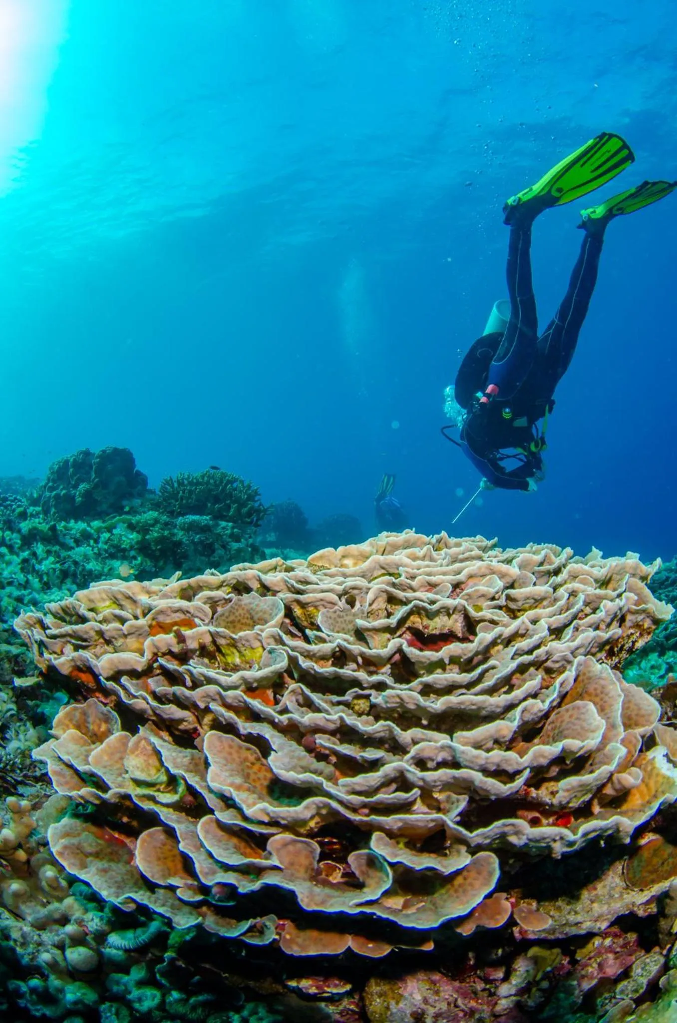 Activities in Tranquility Island Eco Dive Resort