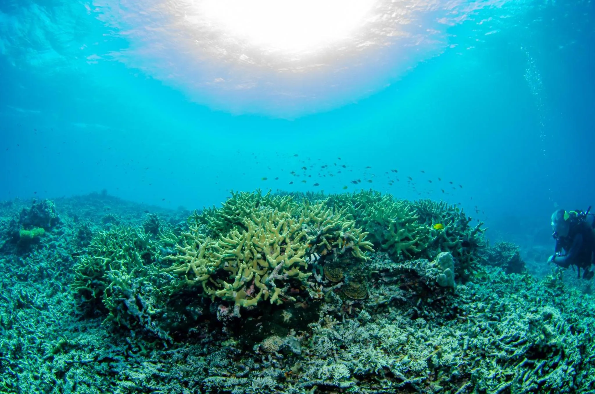 Sea view in Tranquility Island Eco Dive Resort